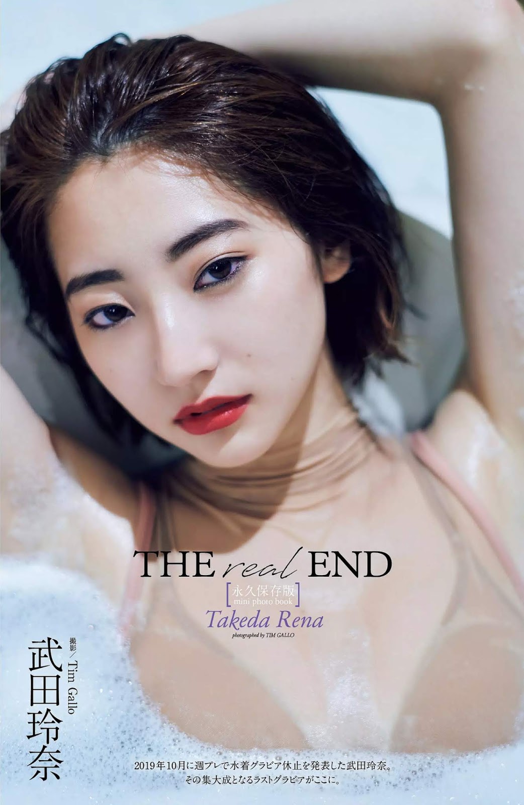 Rena Takeda 武田玲奈, Weekly Playboy 2020 No.01-02 (週刊プレイボーイ 2020年1-2号)