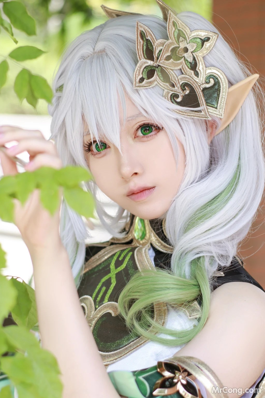 Coser@Asagiriai (愛ちゃん)_ 納西妲 [37P]