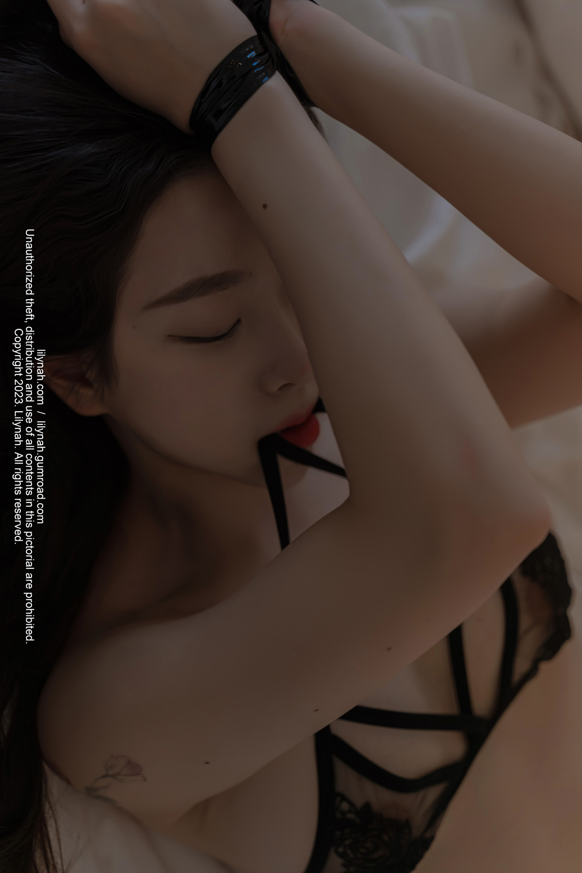 Shaany 샤니, [Lilynah] LW085 Vol.21 I Want to Tie You Up [51P]