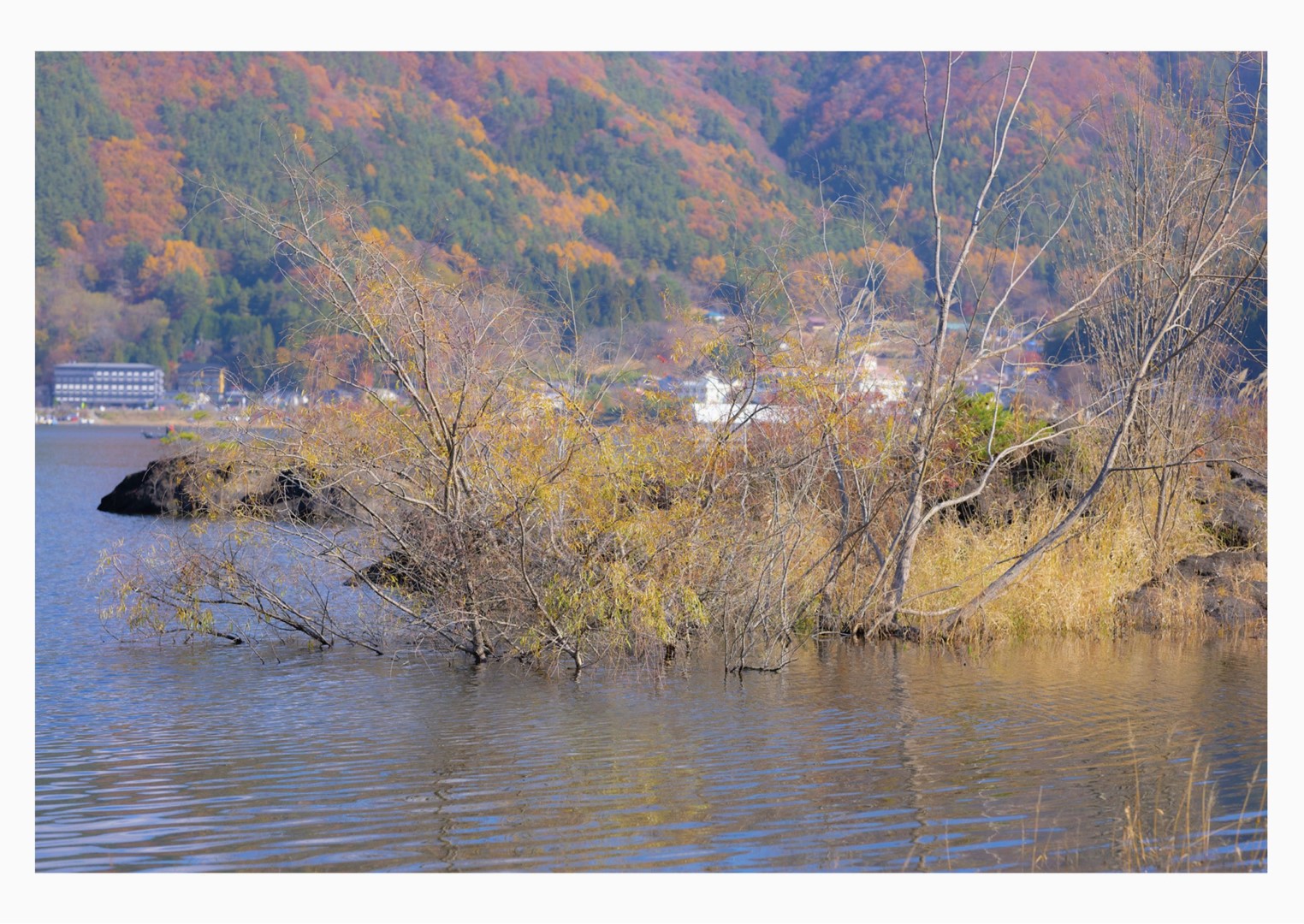 冨永ほのか 逢瀬、重ねて PRESTIGE PHOTOGENICS [27P]