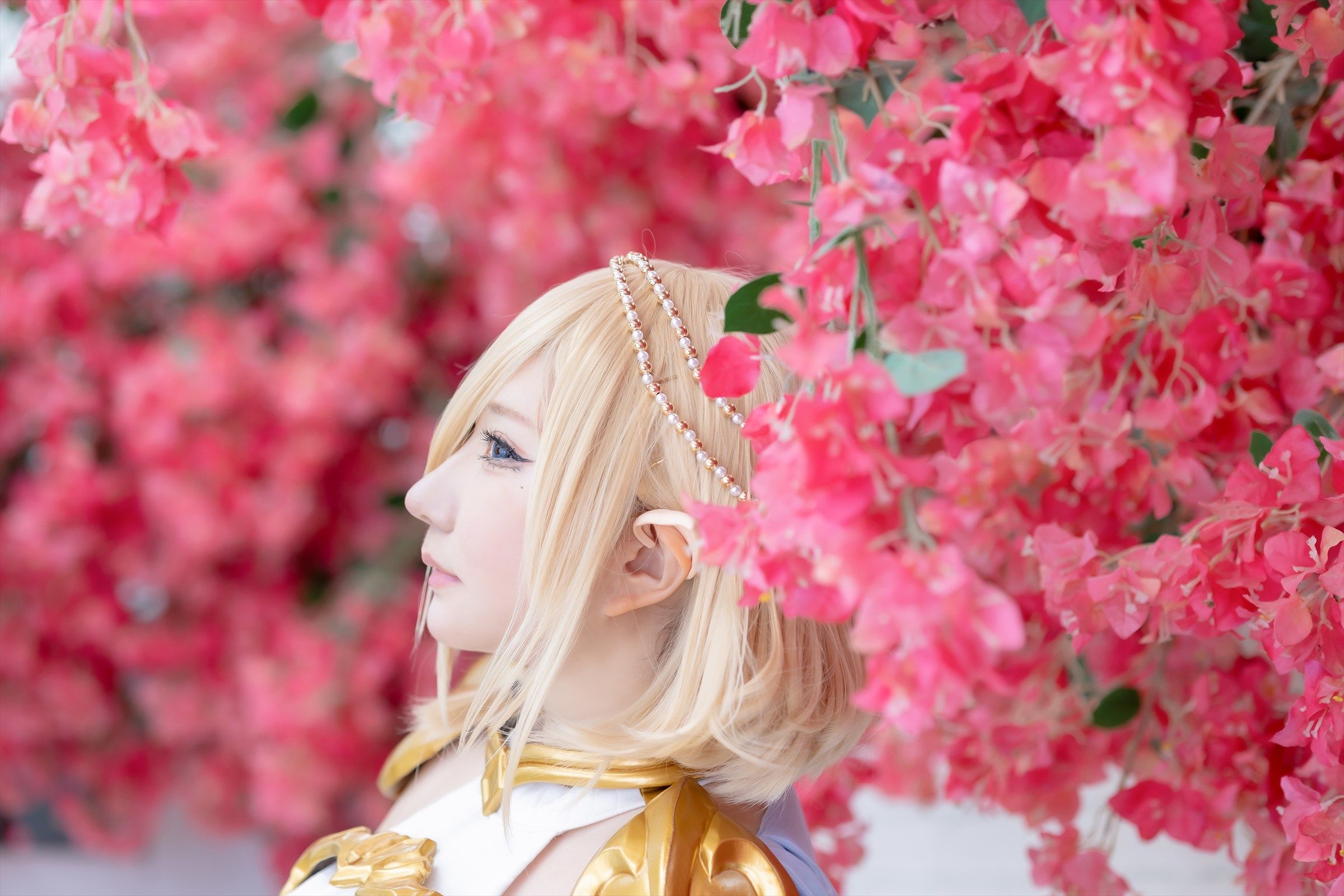 [Shooting Star's ( SAKU サク )] - Elf Village Vol.2 [105P]