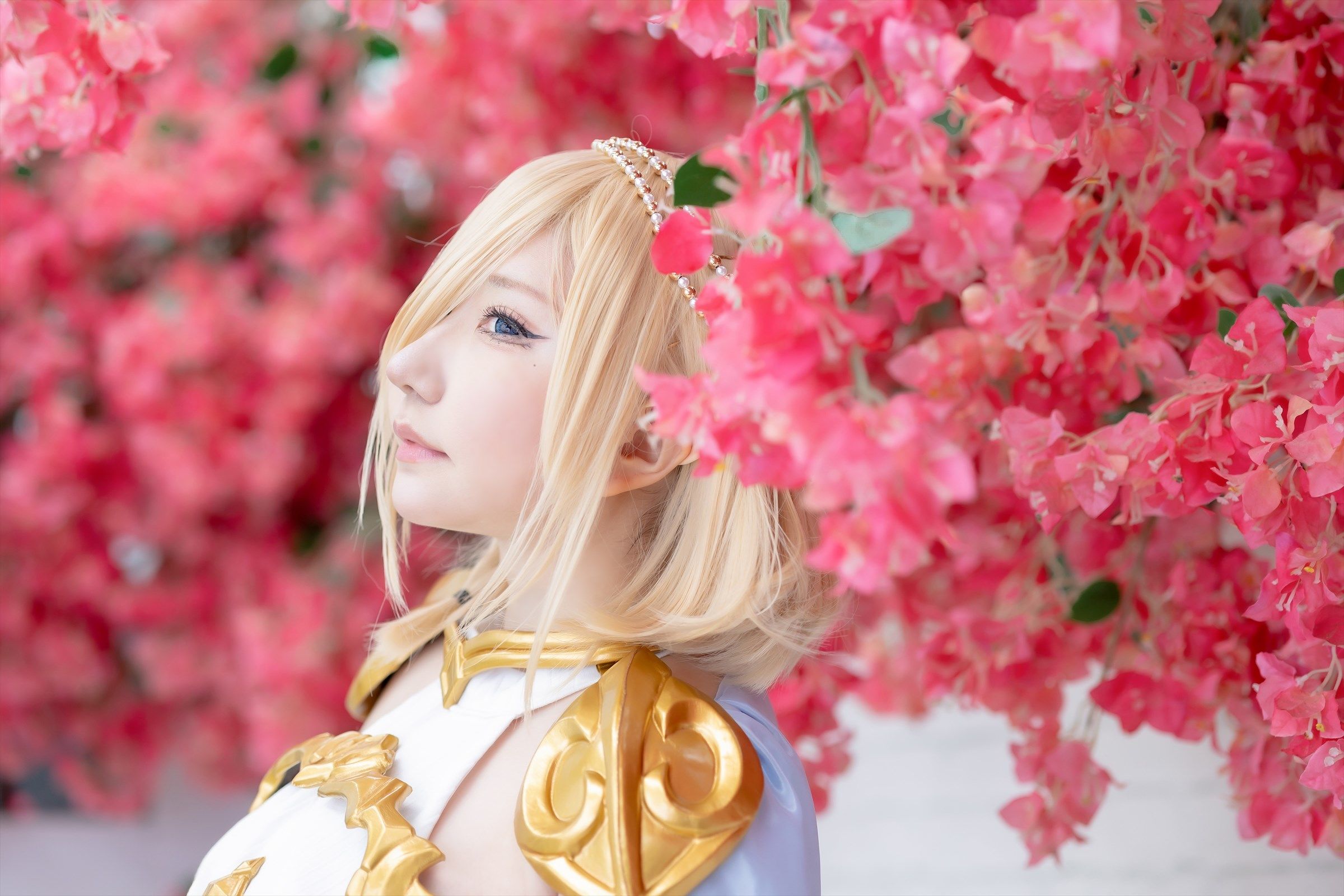 [Shooting Star's ( SAKU サク )] - Elf Village Vol.2 [105P]