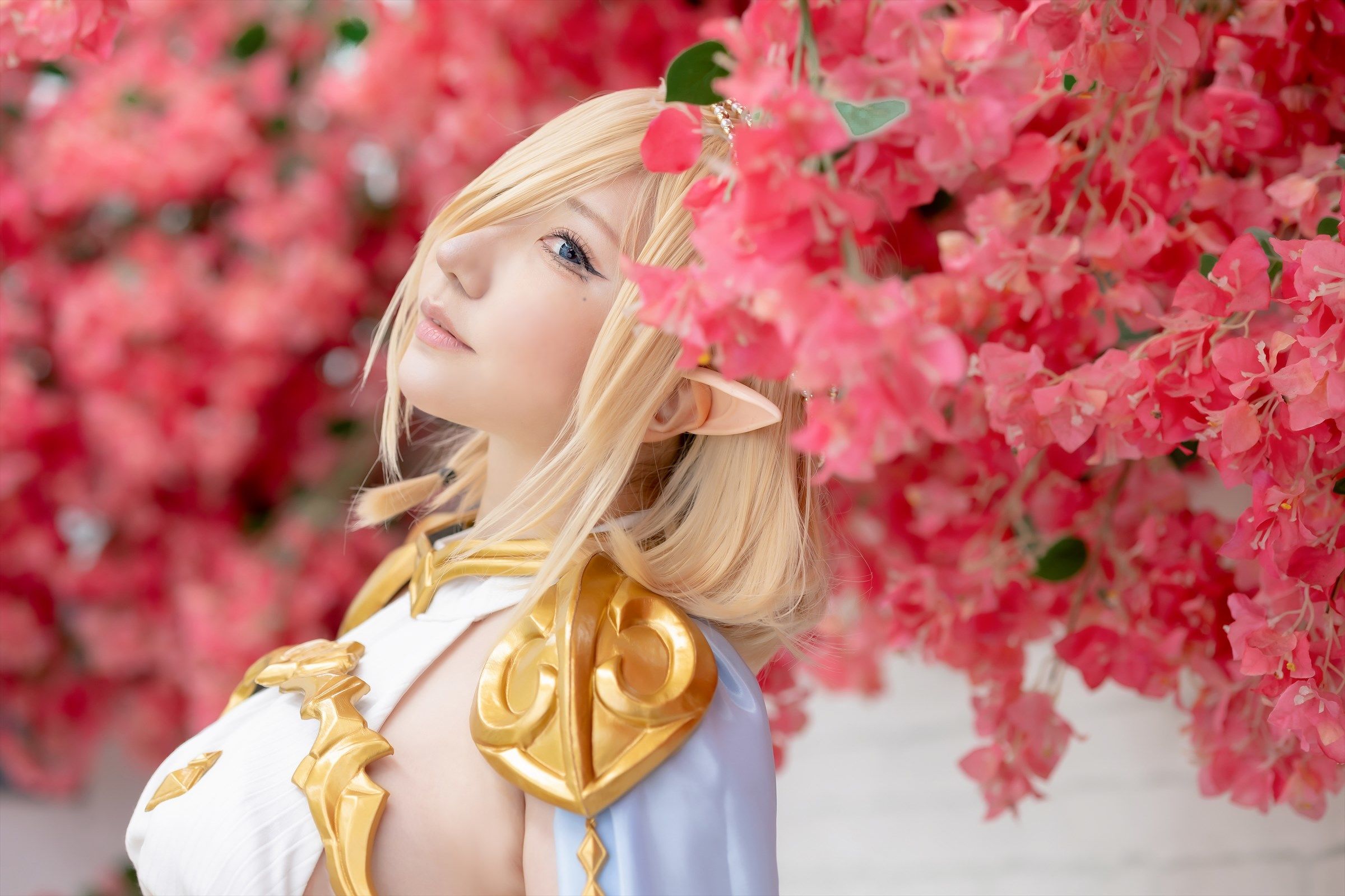 [Shooting Star's ( SAKU サク )] - Elf Village Vol.2 [105P]
