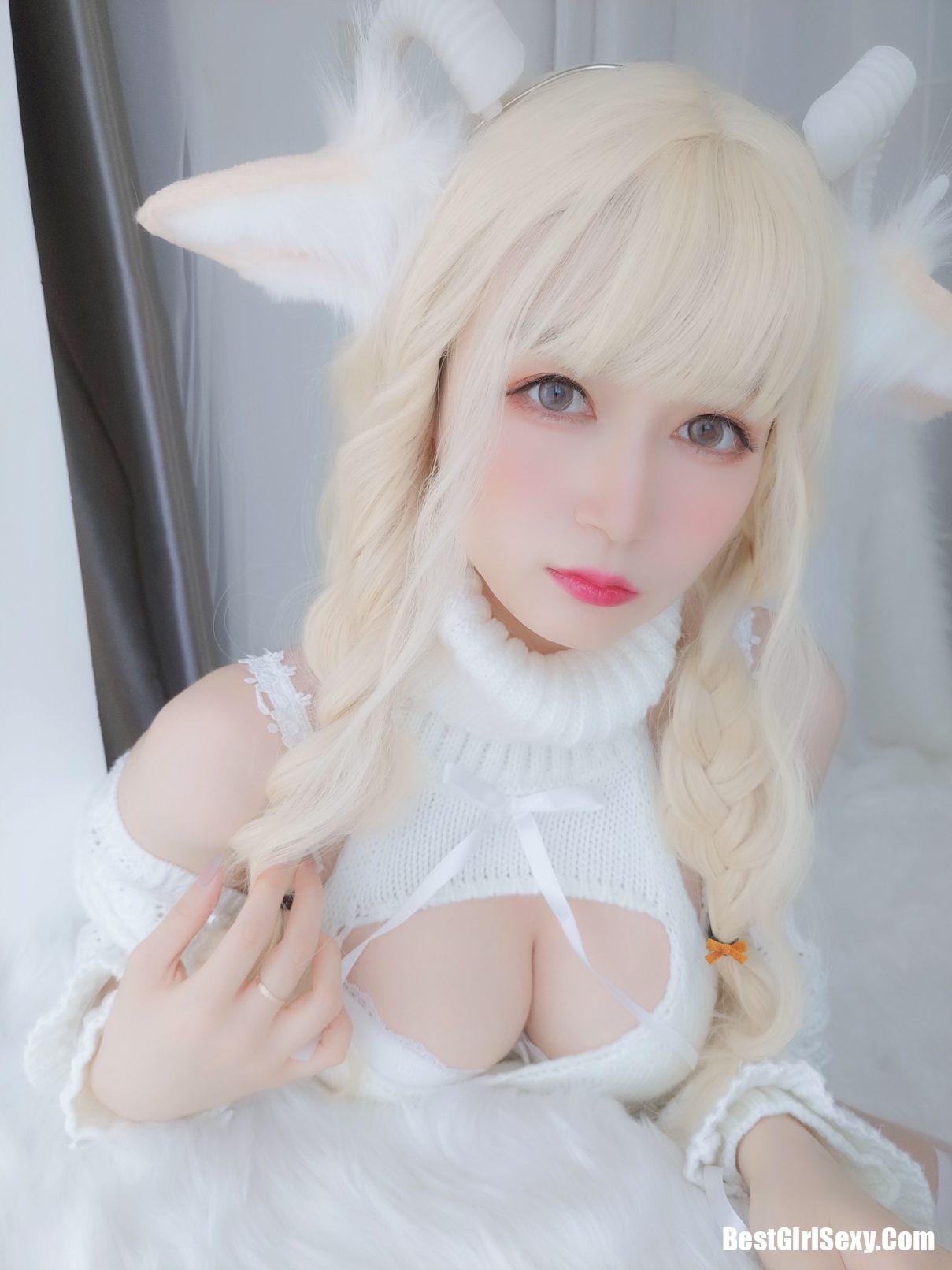 Coser@白银81 小白羊