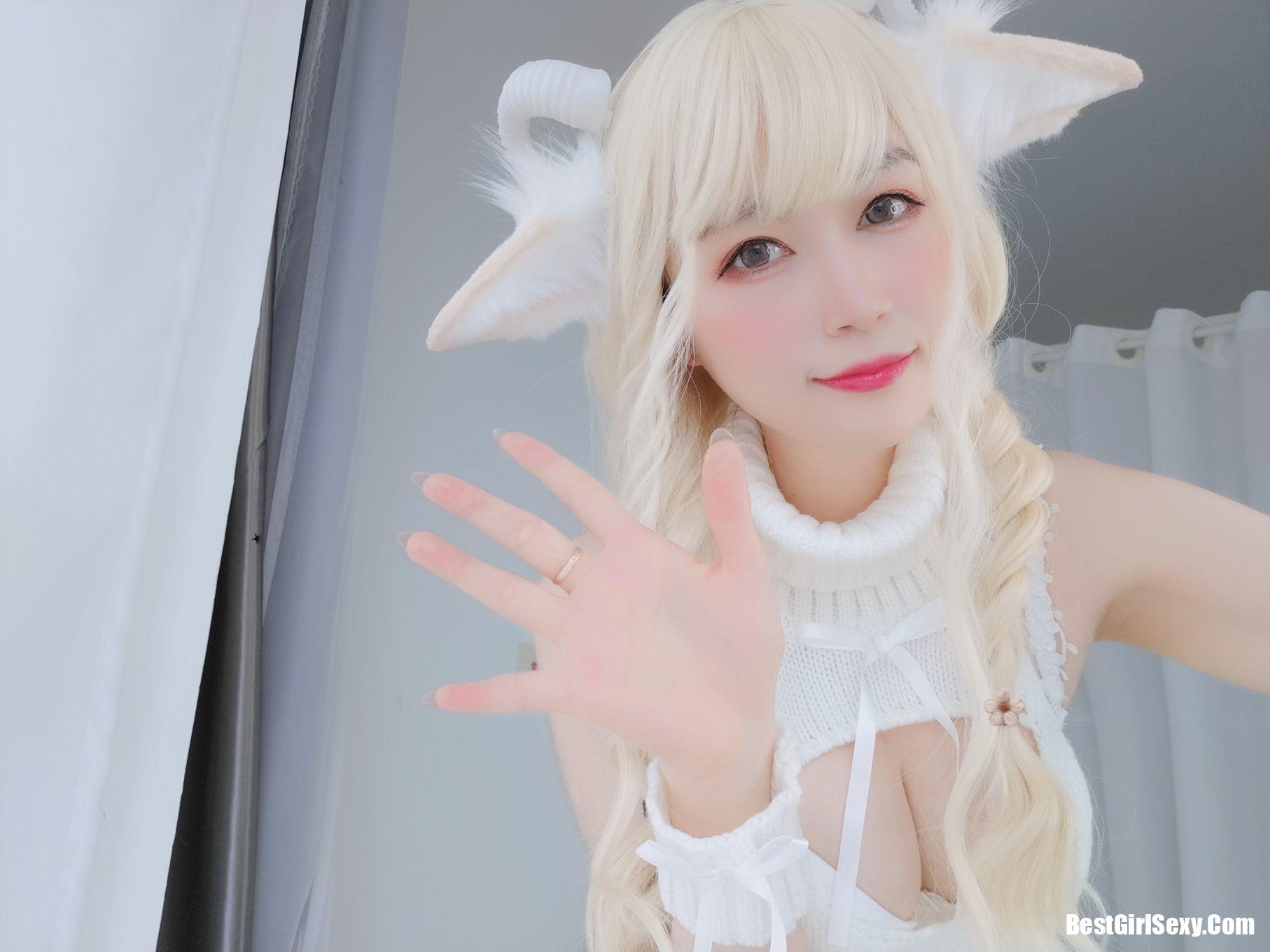 Coser@白银81 小白羊