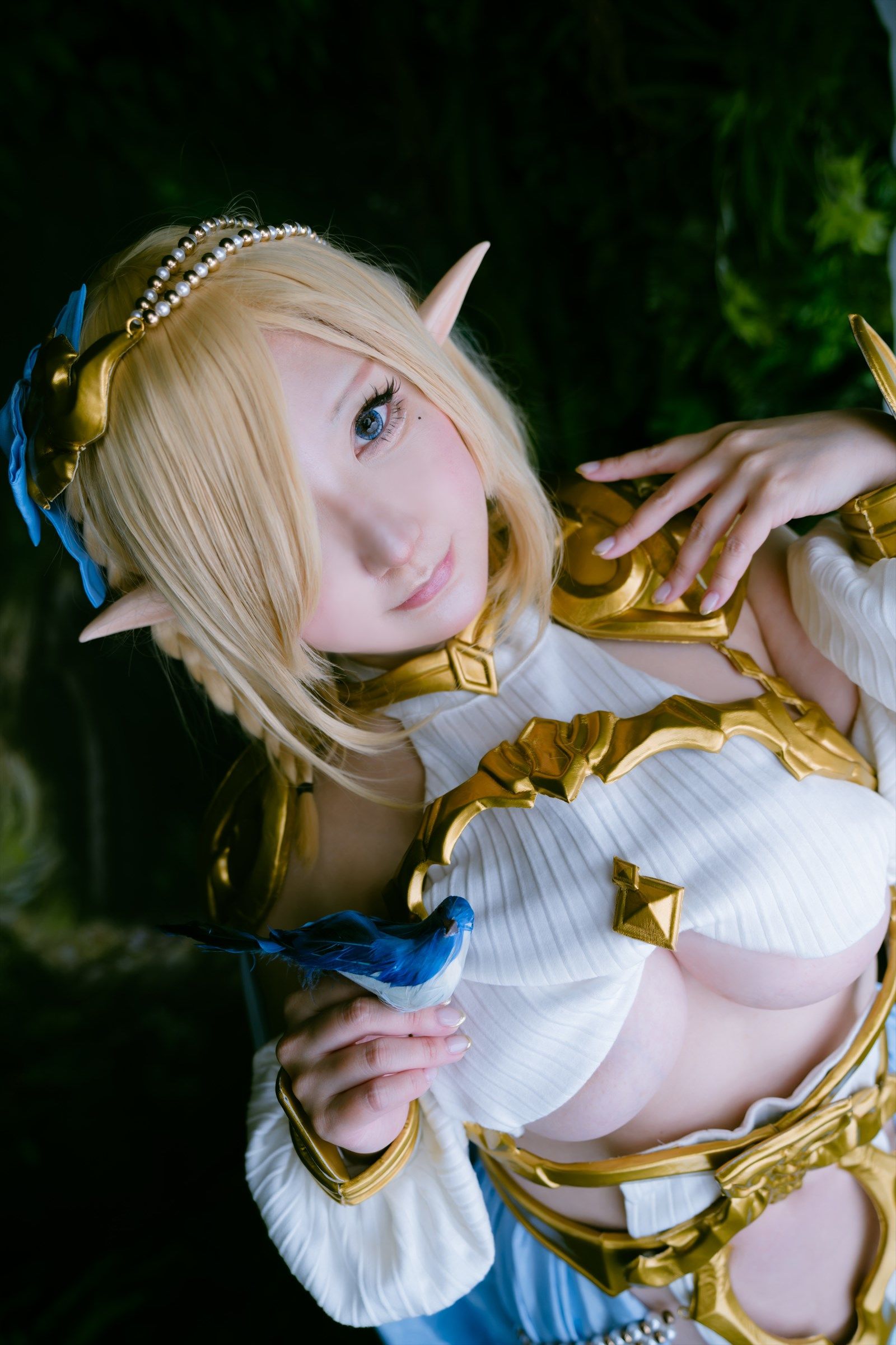 [Shooting Star's ( SAKU サク )] - Elf Village Vol.3 [78P]
