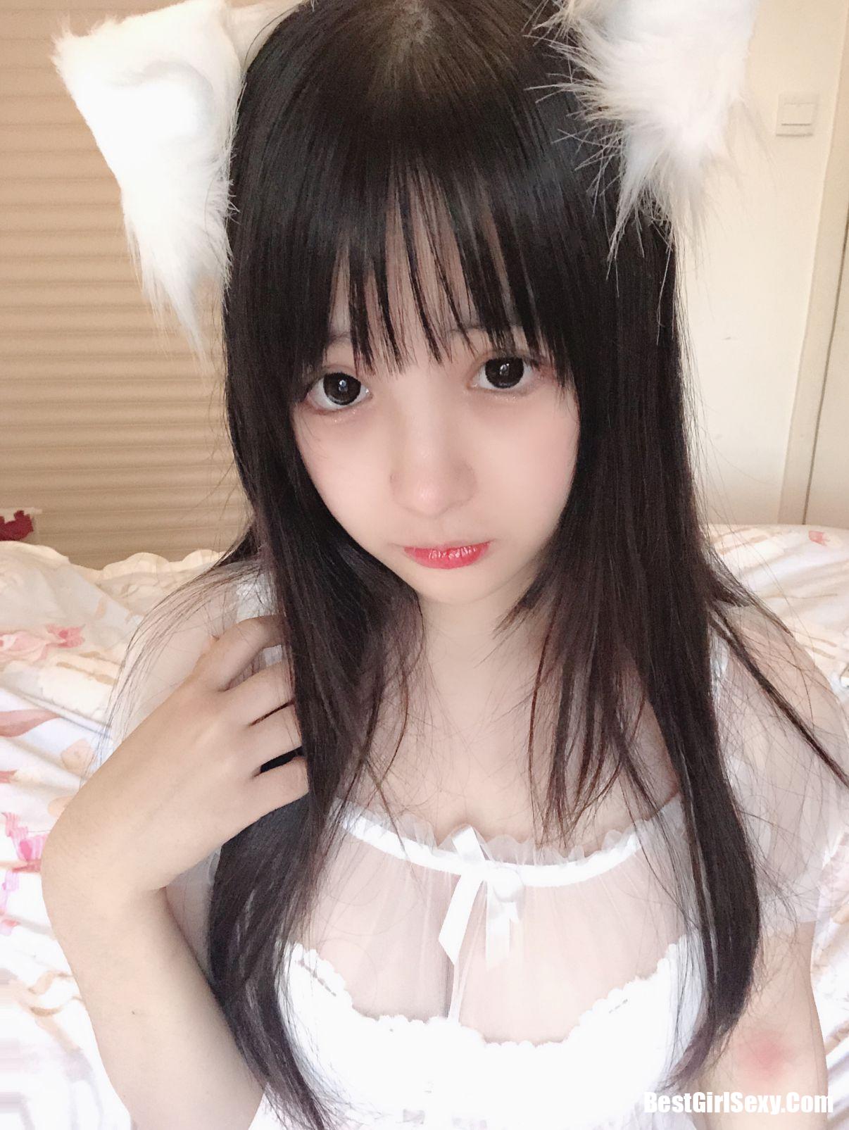 Coser@桜井宁宁 Vol.029 小白猫 蕾丝内衣