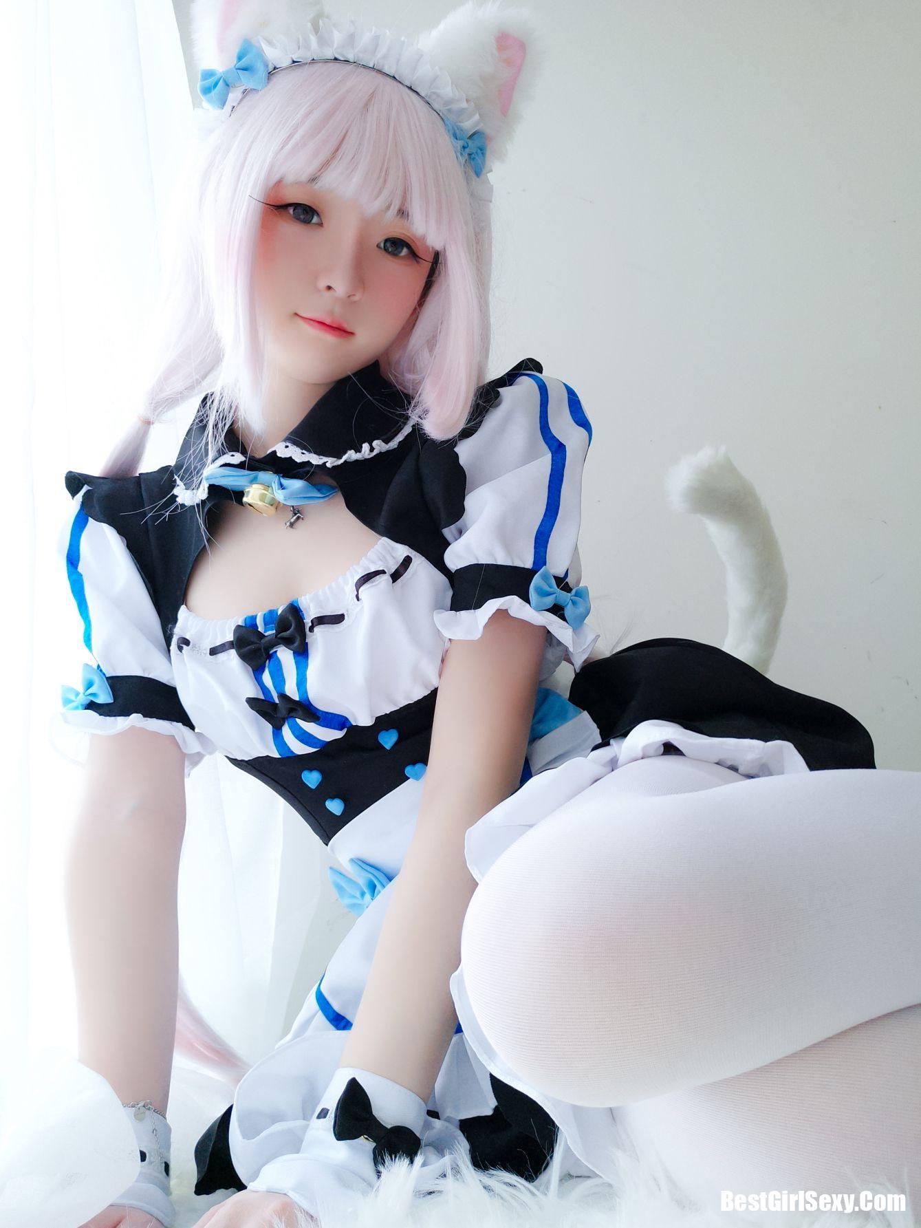 Coser@一小央泽 猫娘香子兰