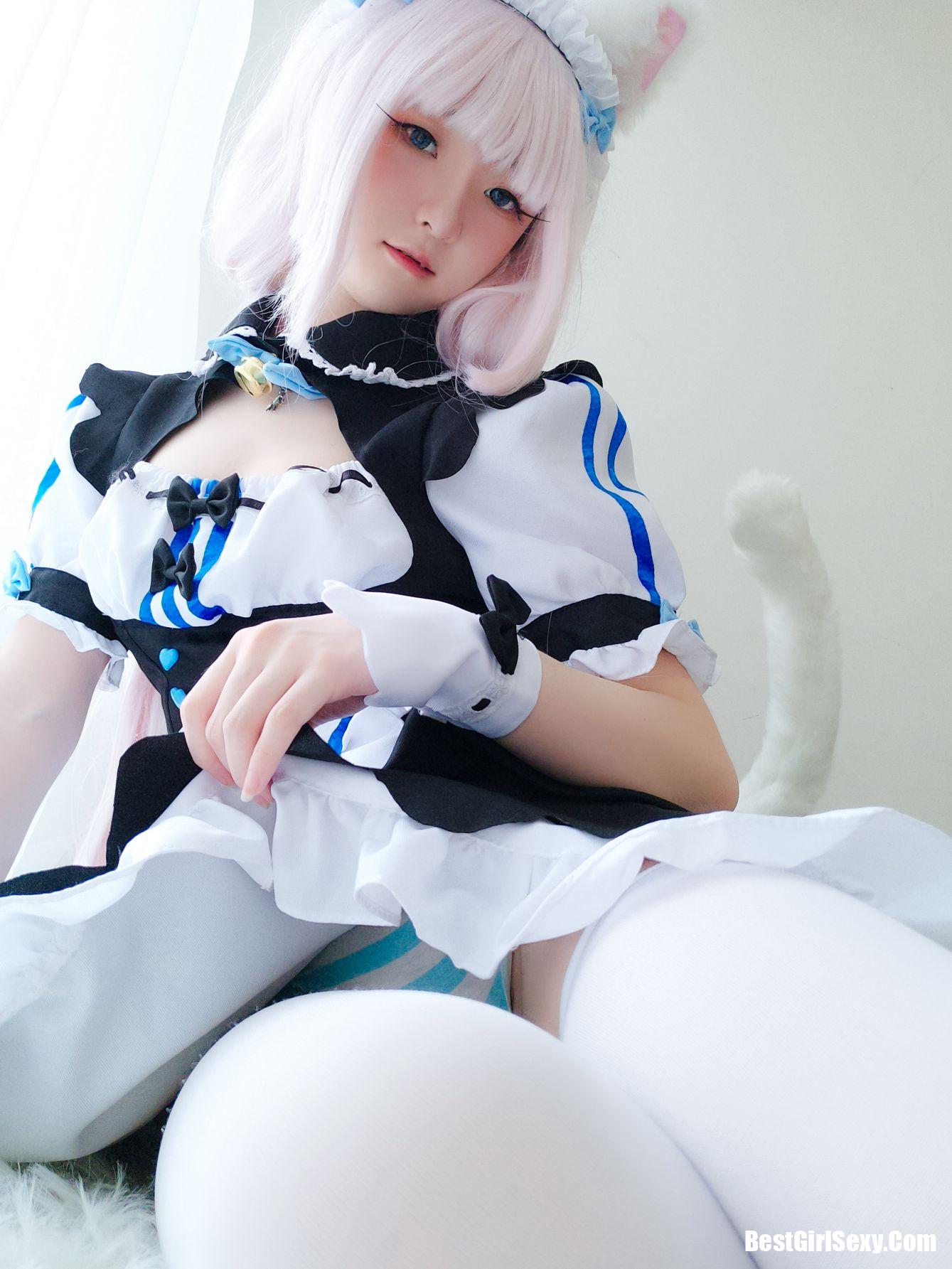 Coser@一小央泽 猫娘香子兰