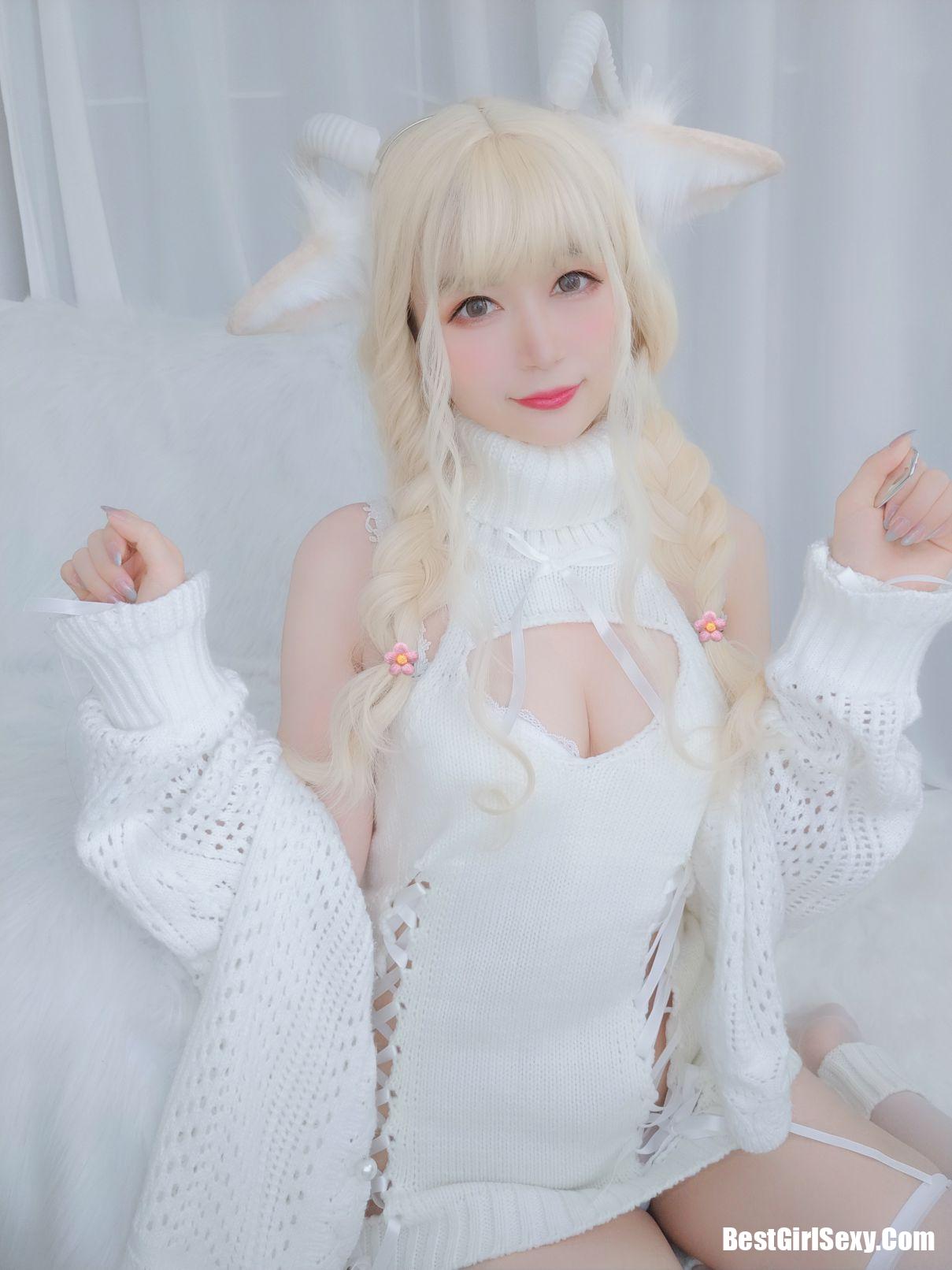 Coser@白银81 小白羊
