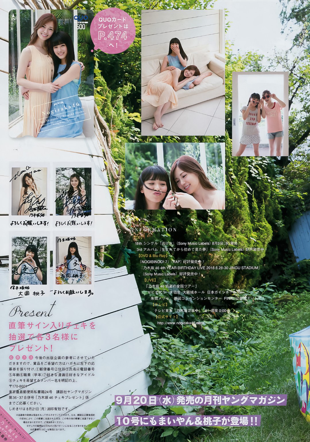 白石麻衣・大園桃子, Young Magazine 2024 No.37 (ヤングマガジン 2024年37号)