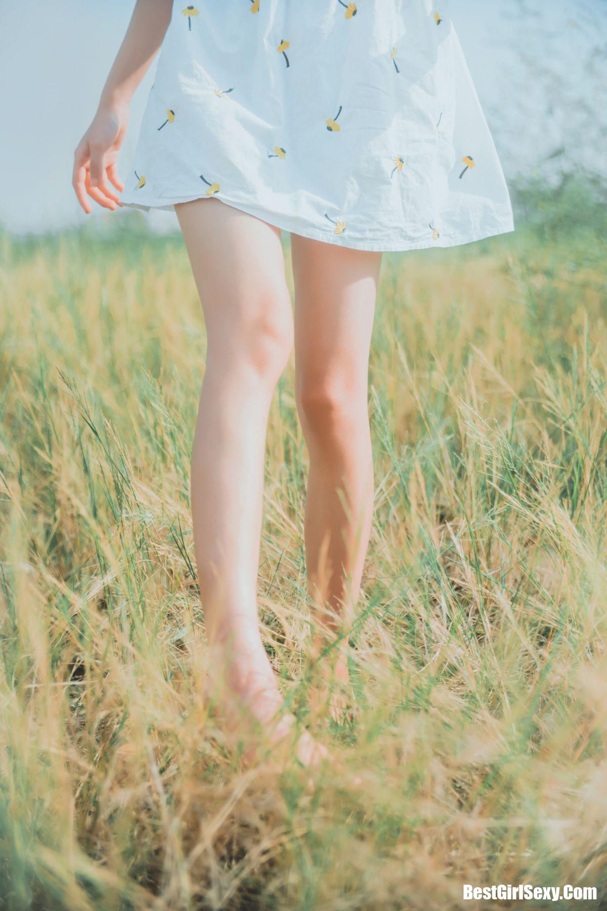 Coser@桜桃喵 Vol.050 田野