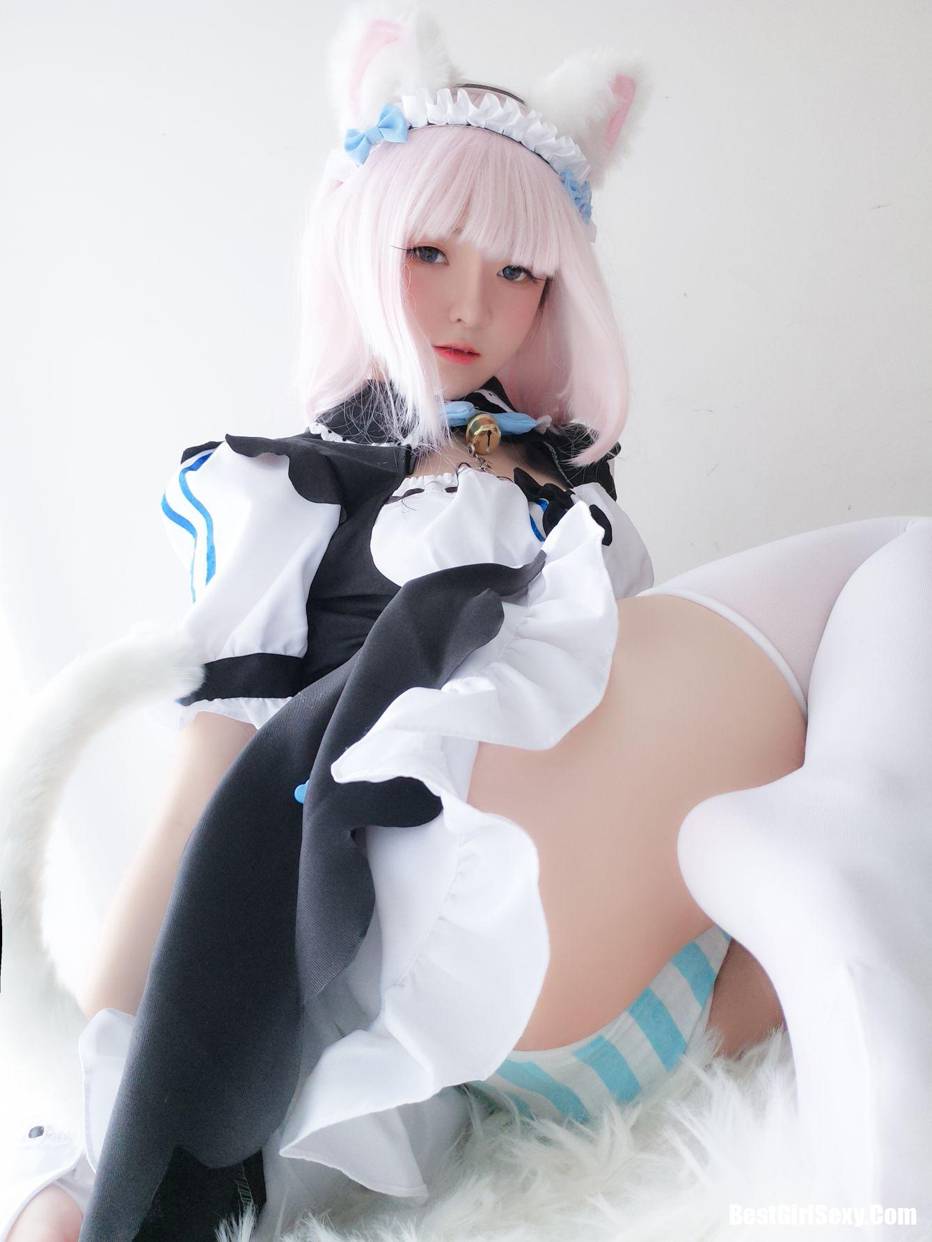 Coser@一小央泽 猫娘香子兰