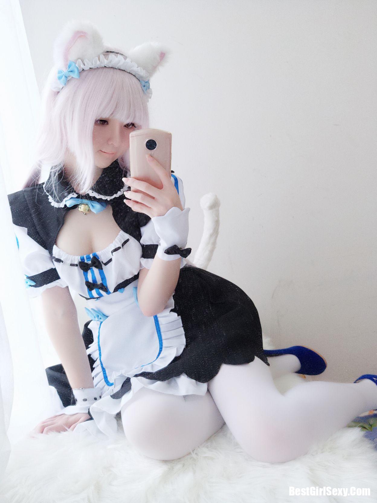 Coser@一小央泽 猫娘香子兰