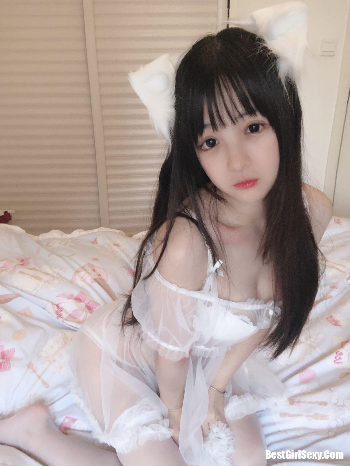 Coser@桜井宁宁 Vol.029 小白猫 蕾丝内衣