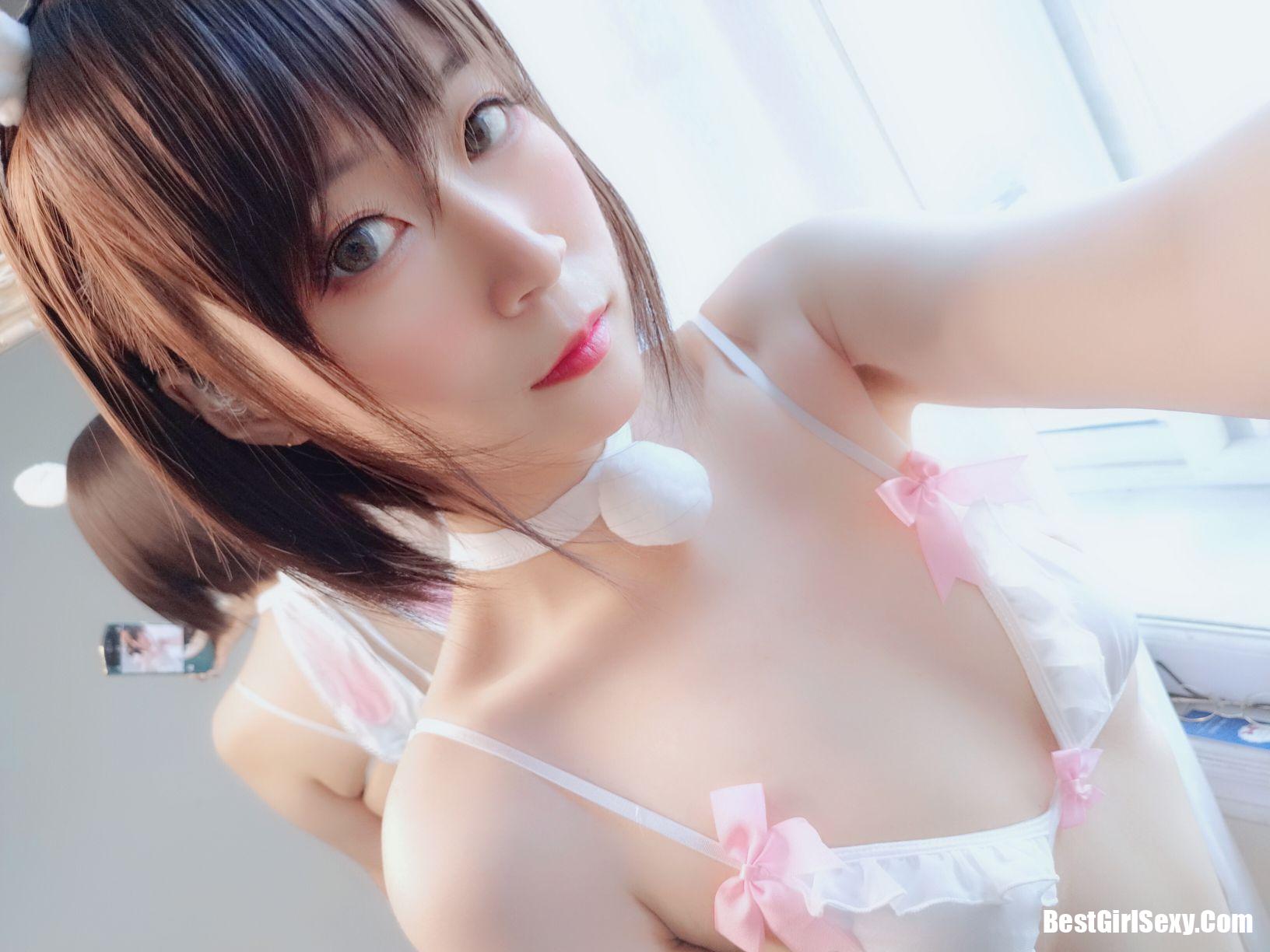 Coser@白银81 兔子