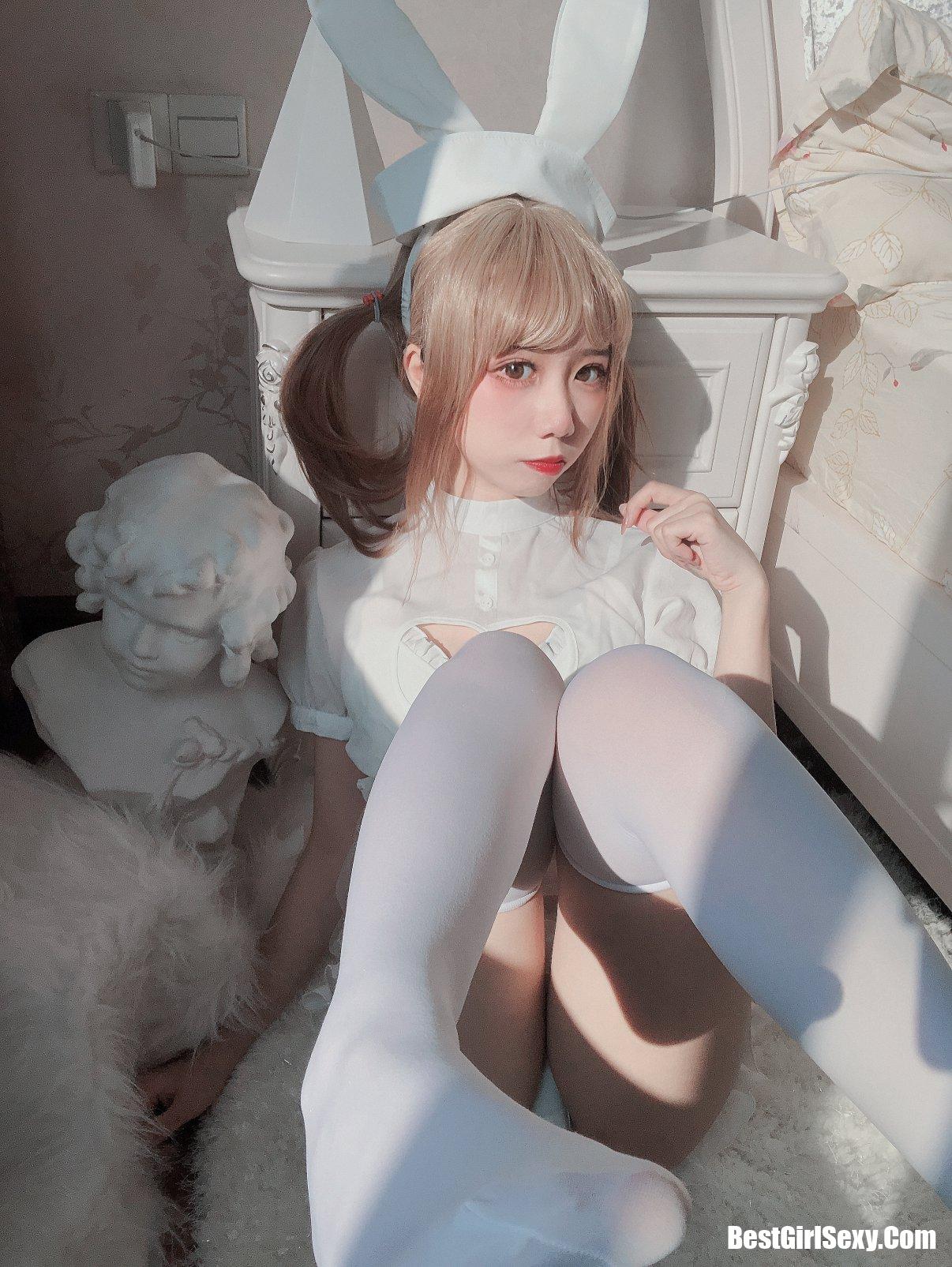 Coser@果咩酱w Vol.015 兔兔护