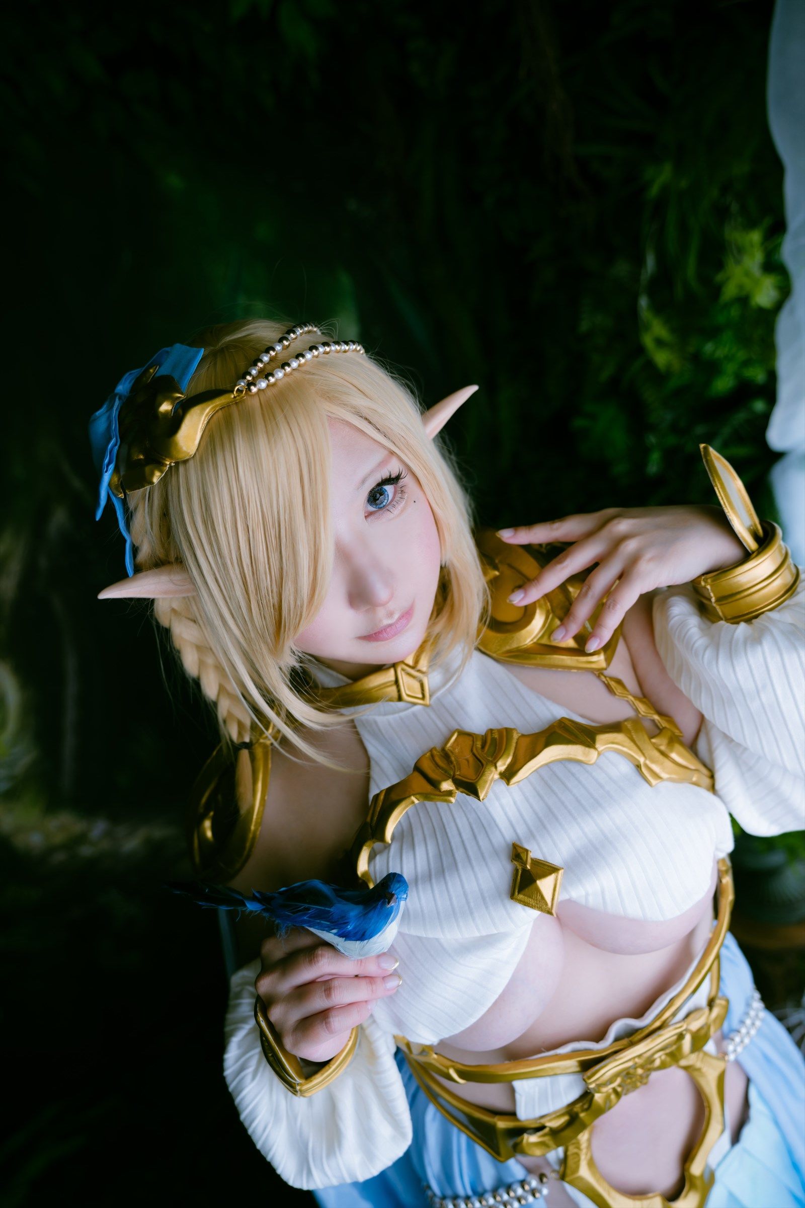 [Shooting Star's ( SAKU サク )] - Elf Village Vol.3 [78P]