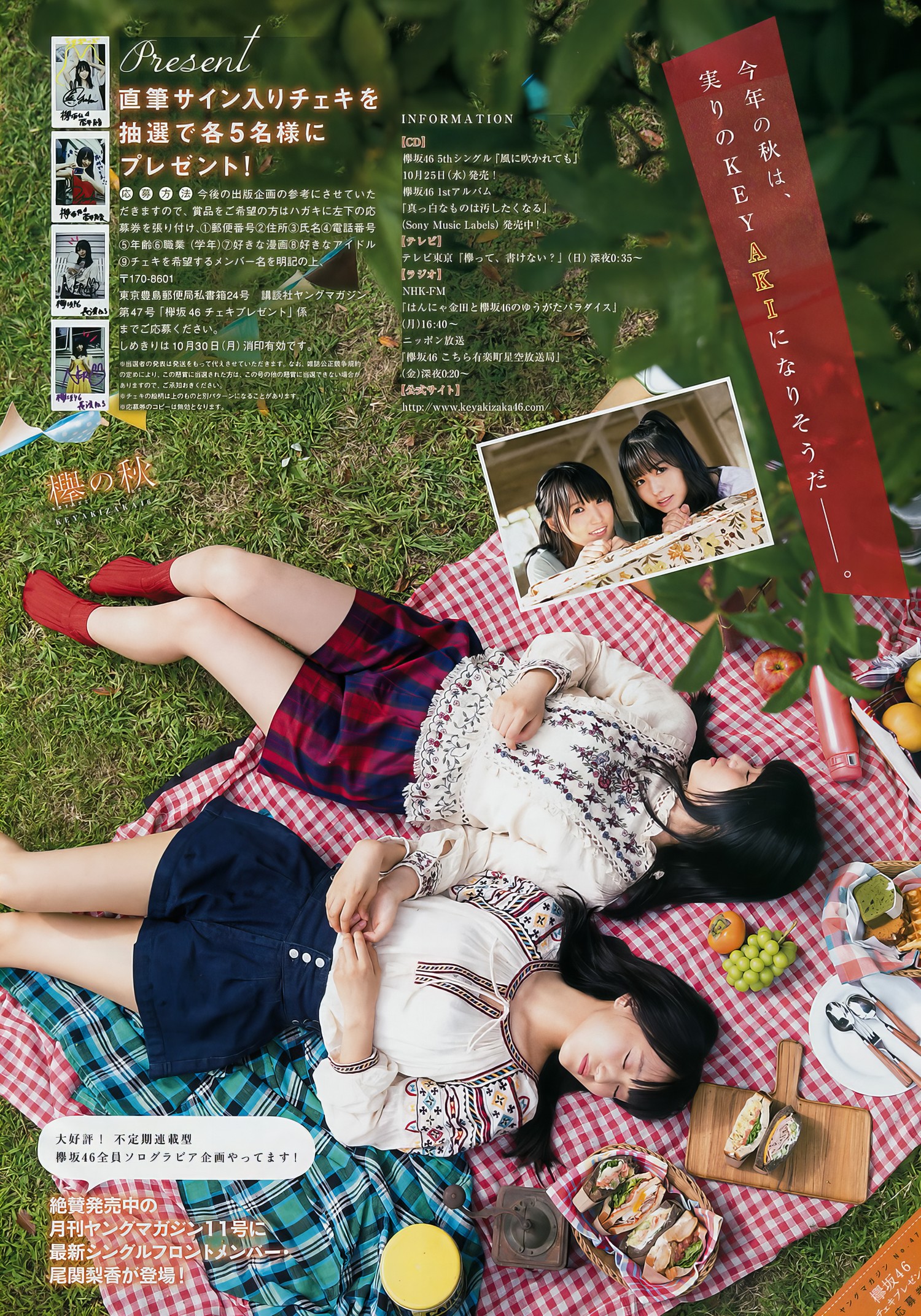 菅井友香・長濱ねる, Young Magazine 2017 No.47 (ヤングマガジン 2017年47号) [7P]