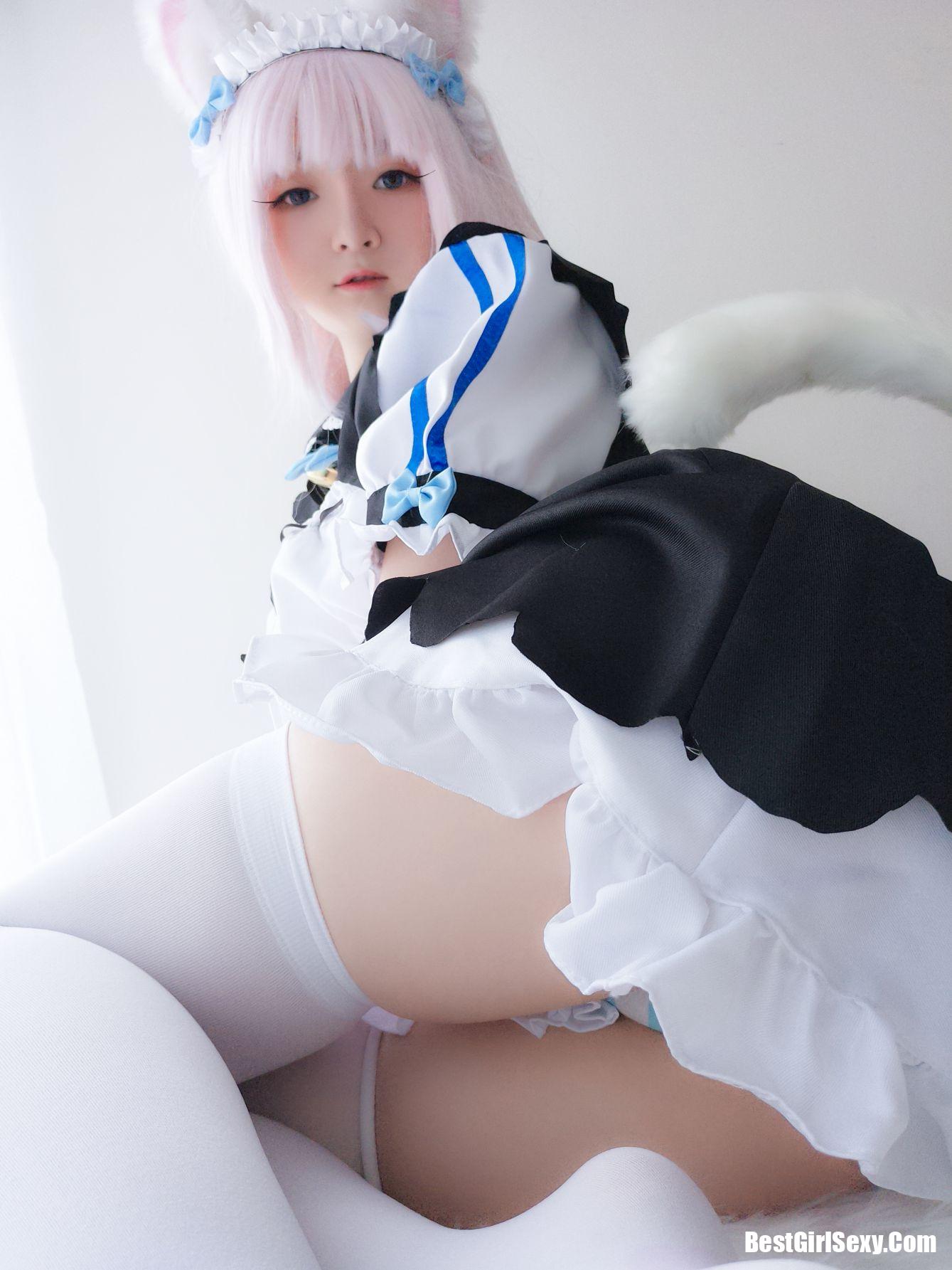 Coser@一小央泽 猫娘香子兰