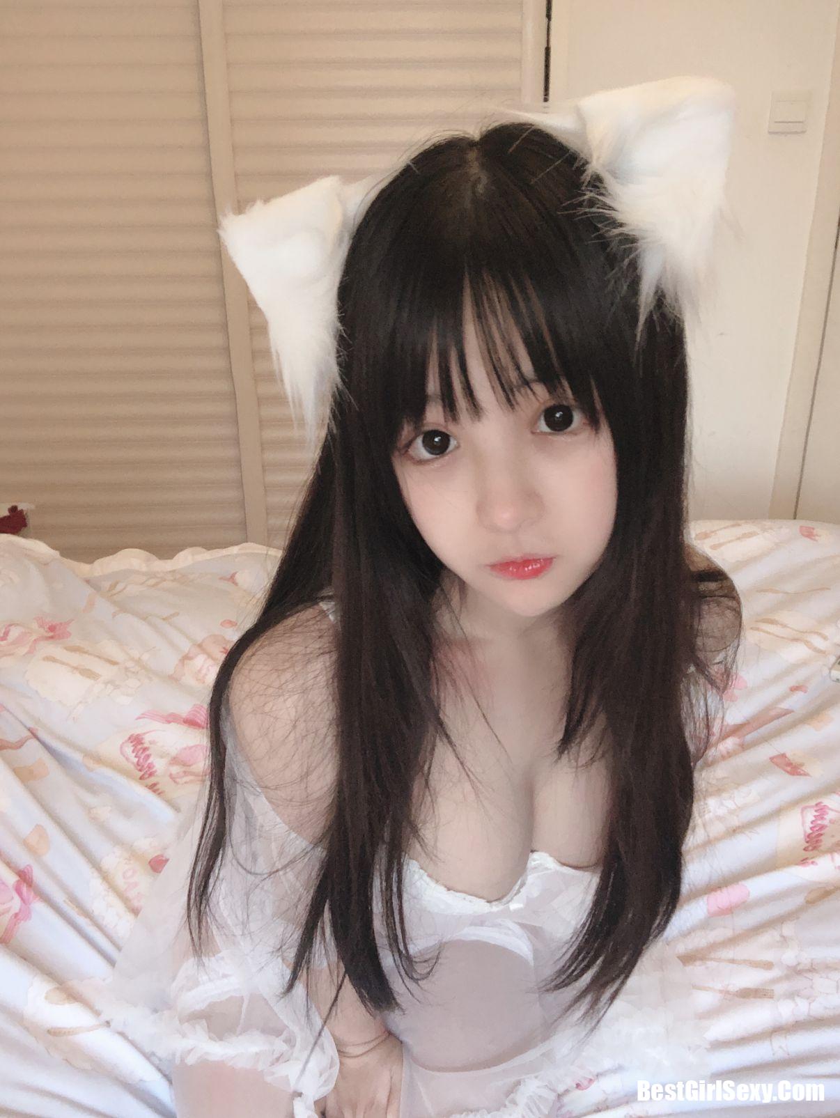 Coser@桜井宁宁 Vol.029 小白猫 蕾丝内衣