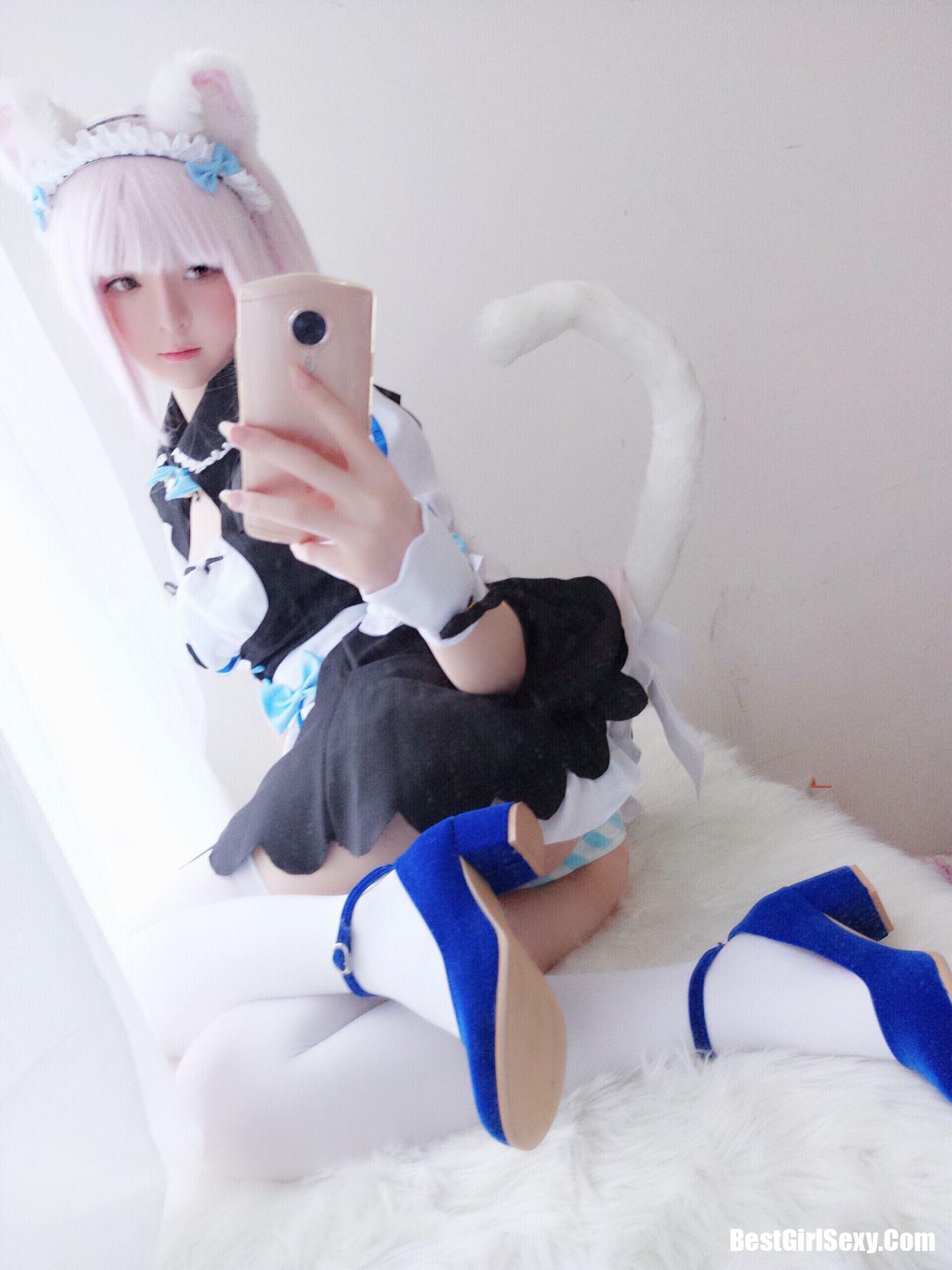 Coser@一小央泽 猫娘香子兰