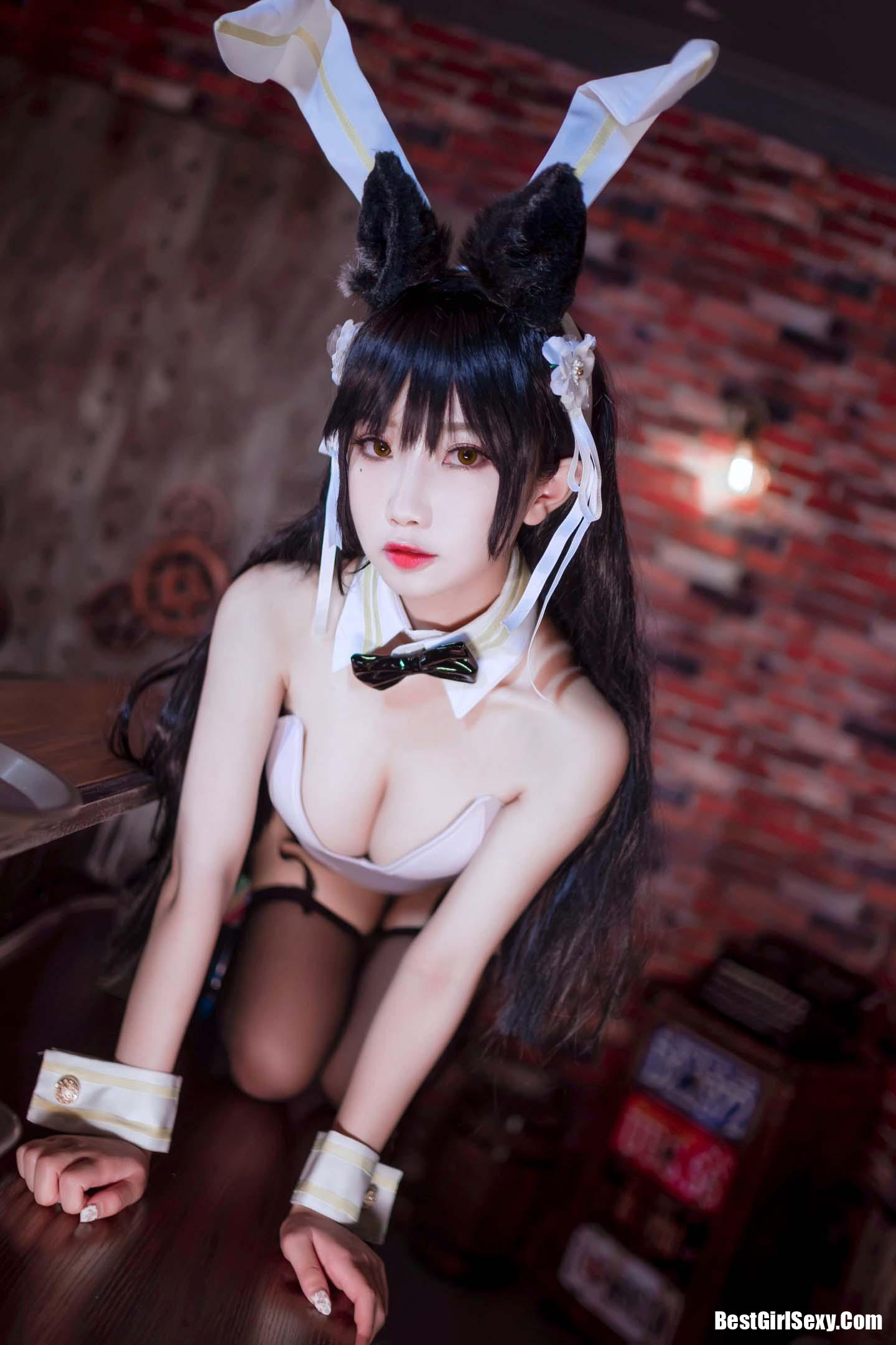 [鬼畜瑶] NO.017 Bar Bunny