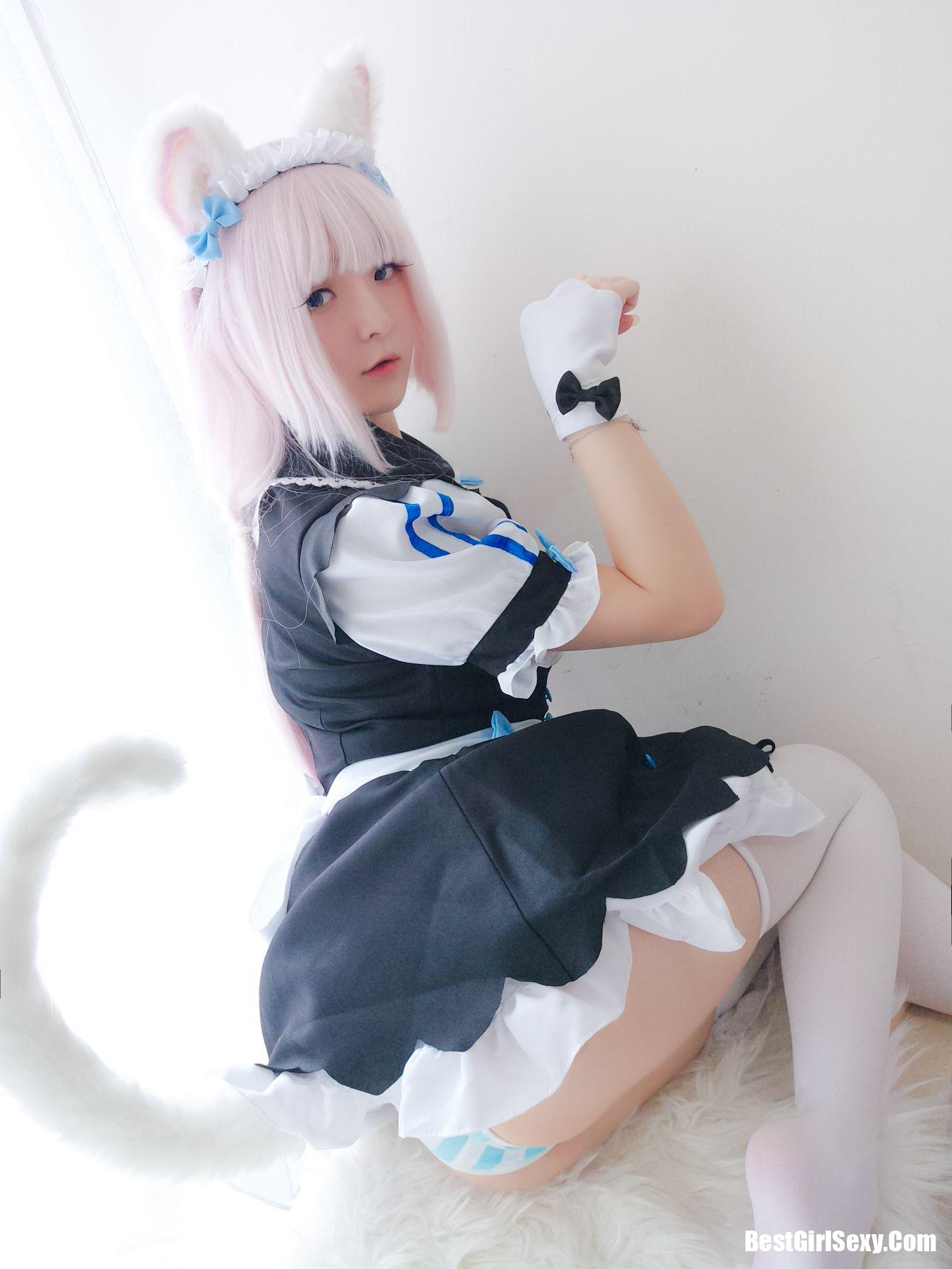 Coser@一小央泽 猫娘香子兰