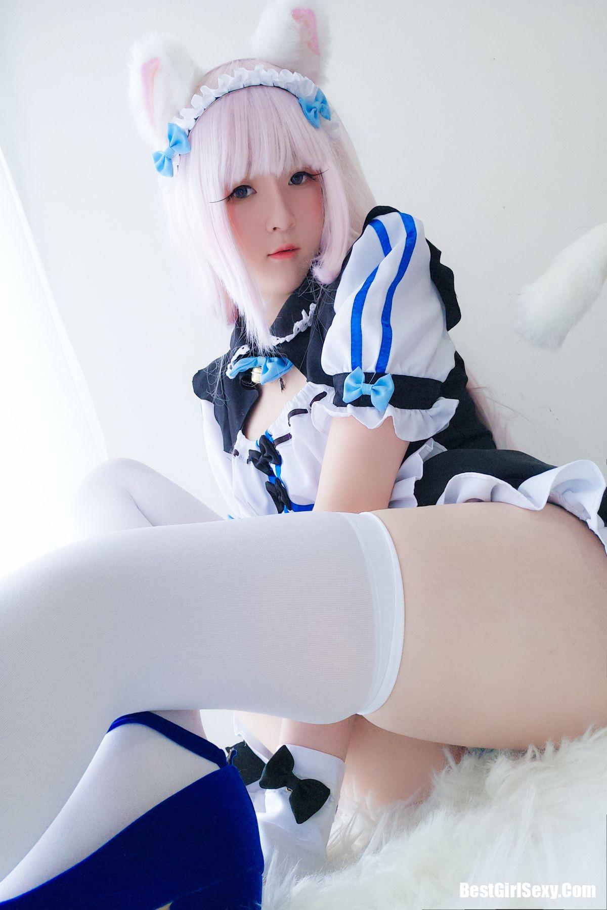 Coser@一小央泽 猫娘香子兰