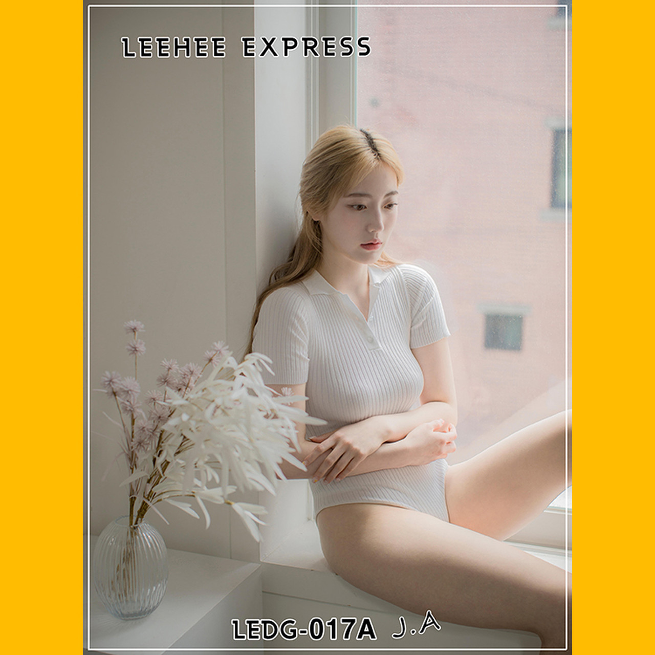 J.A [LEEHEE EXPRESS] LEDG-017A+B Set.01 [50P]