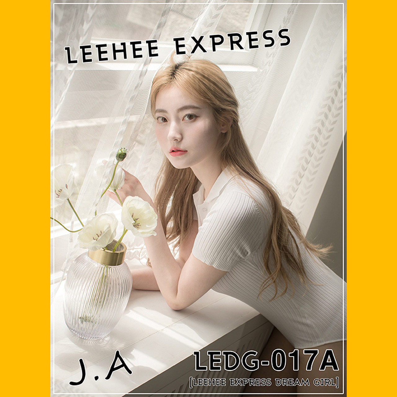 J.A [LEEHEE EXPRESS] LEDG-017A+B Set.01 [50P]