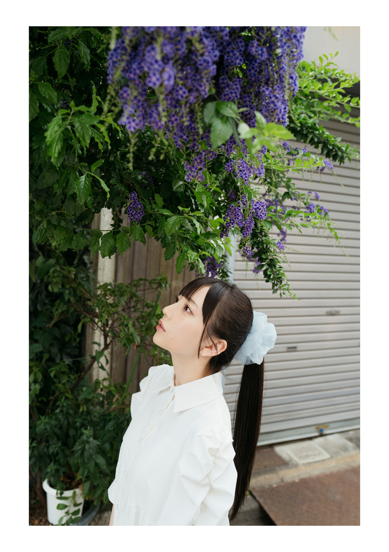 七沢みあ デジタル写真集 とられち