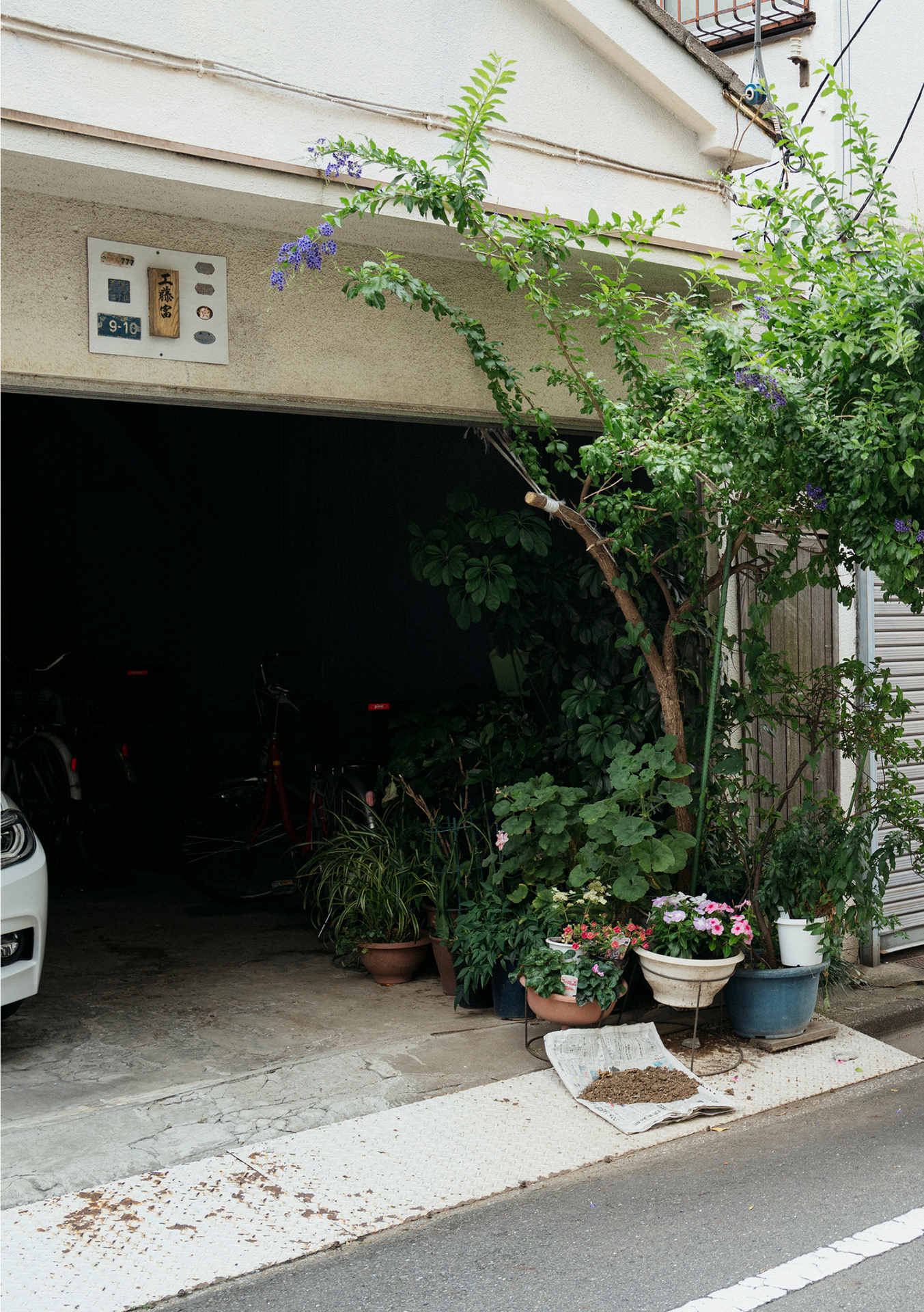 七沢みあ デジタル写真集 とられち