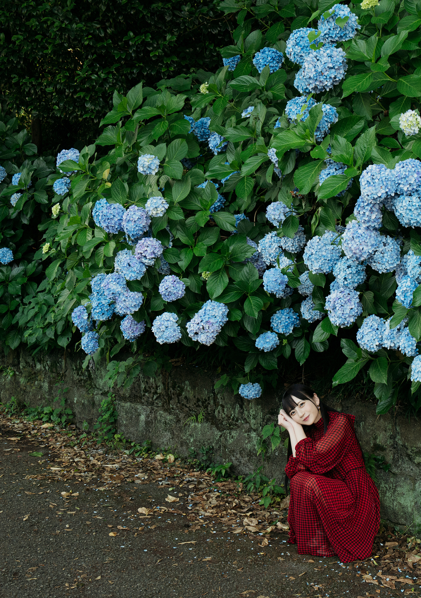 七沢みあ デジタル写真集 とられち