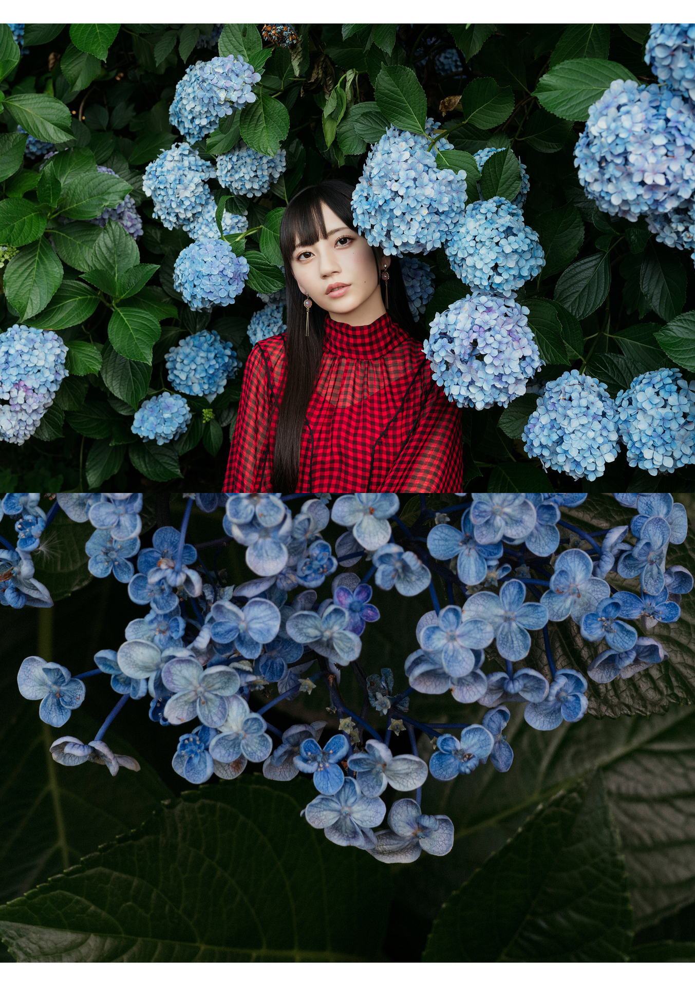 七沢みあ デジタル写真集 とられち
