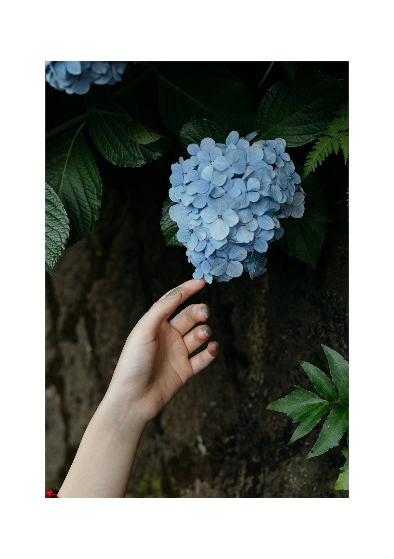七沢みあ デジタル写真集 とられち