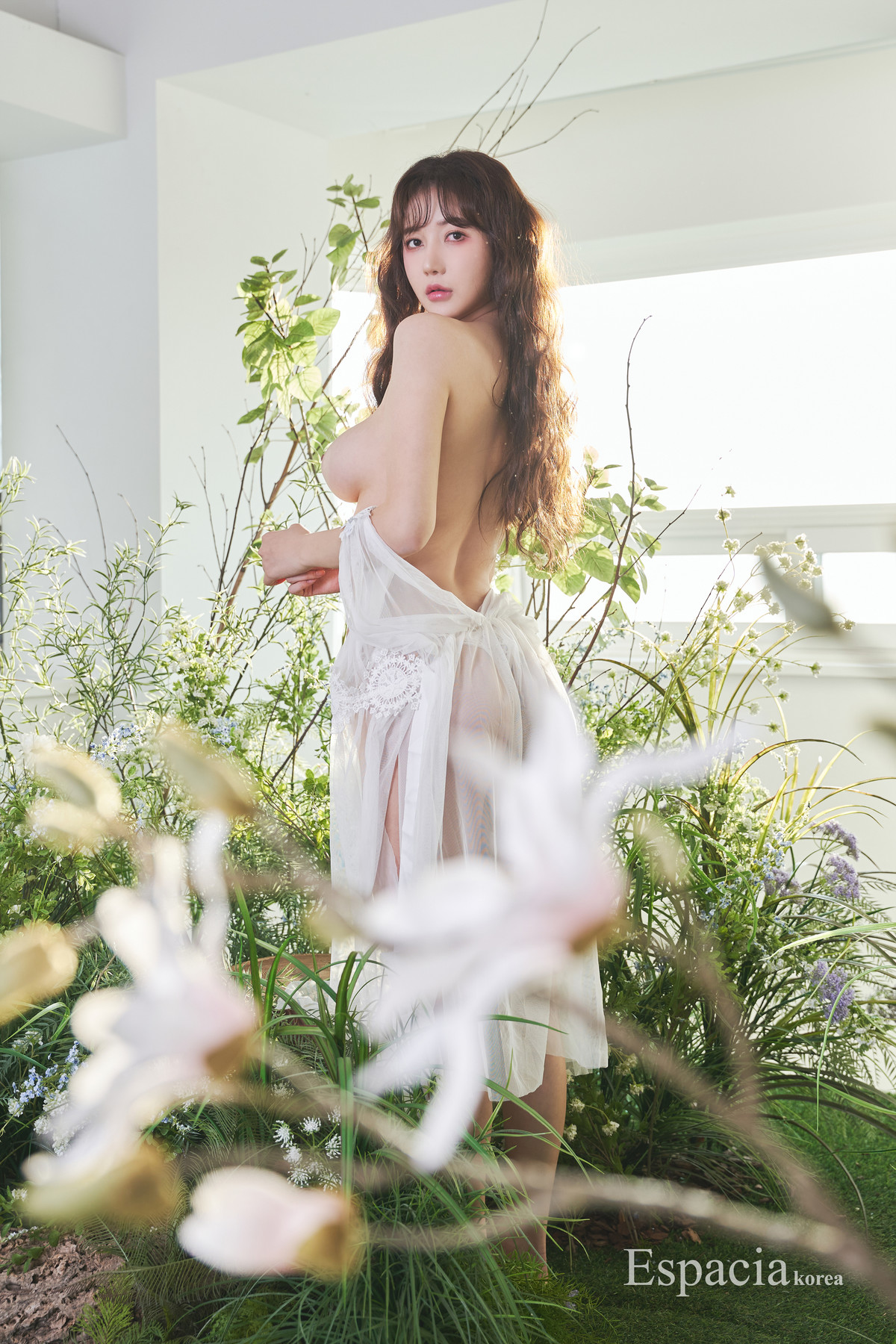 K.D.L 감동란, Espacia Korea EHC#131