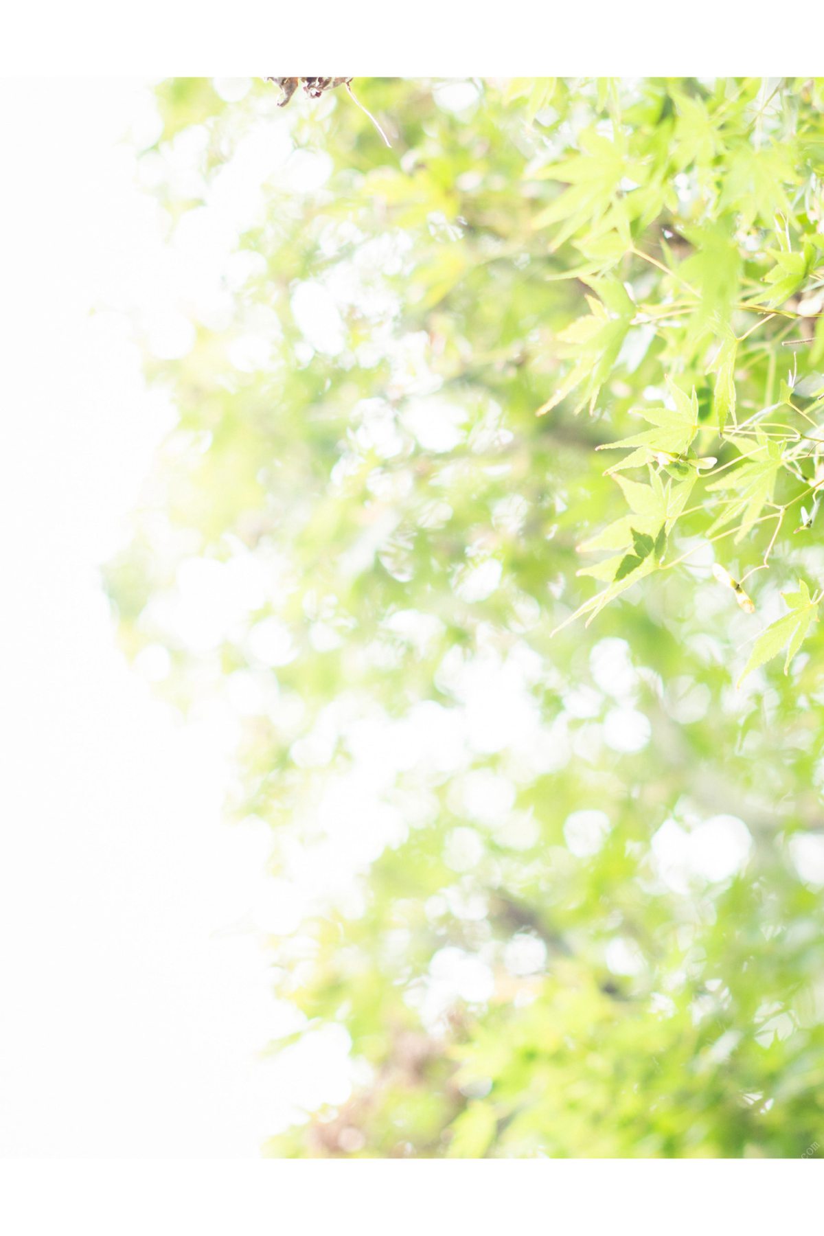 Photobook 2021-11-05 Hikari Kisaki 妃ひかり – To Those Who Shine Light 光りが射す方へ