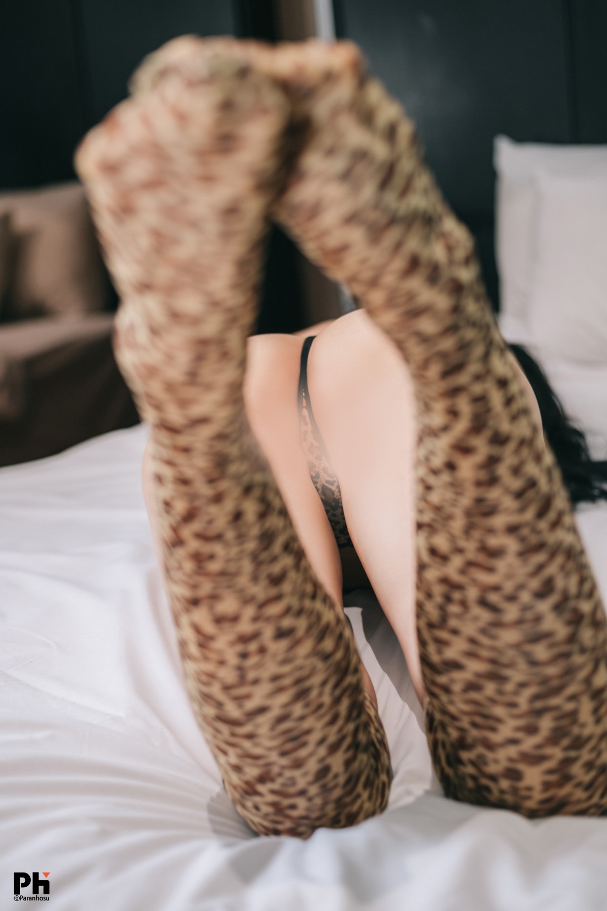 Paranhosu Sia_S22 – Leopard