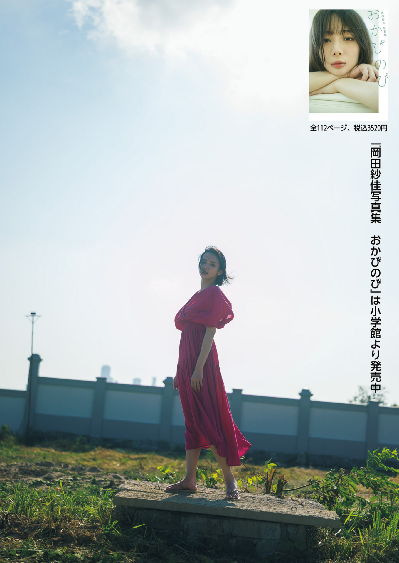 週刊ポスト 2024.08.30-09.06 【電子版特典】 岡田紗佳写真集 おかぴのぴ