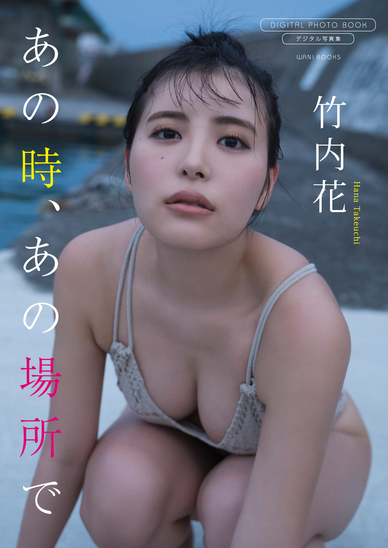 Hana Takeuchi 竹内花, 写真集 サンプル版 あの時、あの場所で