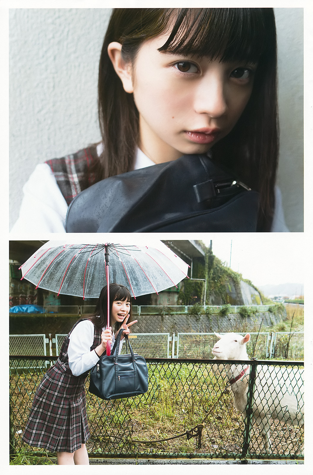Hiyori Sakurada 桜田ひより, Young Gangan 2017 No.24 (ヤングガンガン 2017年24号) 26 Hiyori Sakurada 桜田ひより, Young Gangan 2017 No.24 (ヤングガンガン 2017年24号)