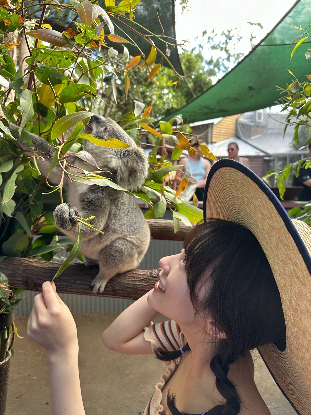 Miku Tanaka 田中美久, Weekly Playboy 2024 No.39 (周刊プレイボーイ 2024年39号)