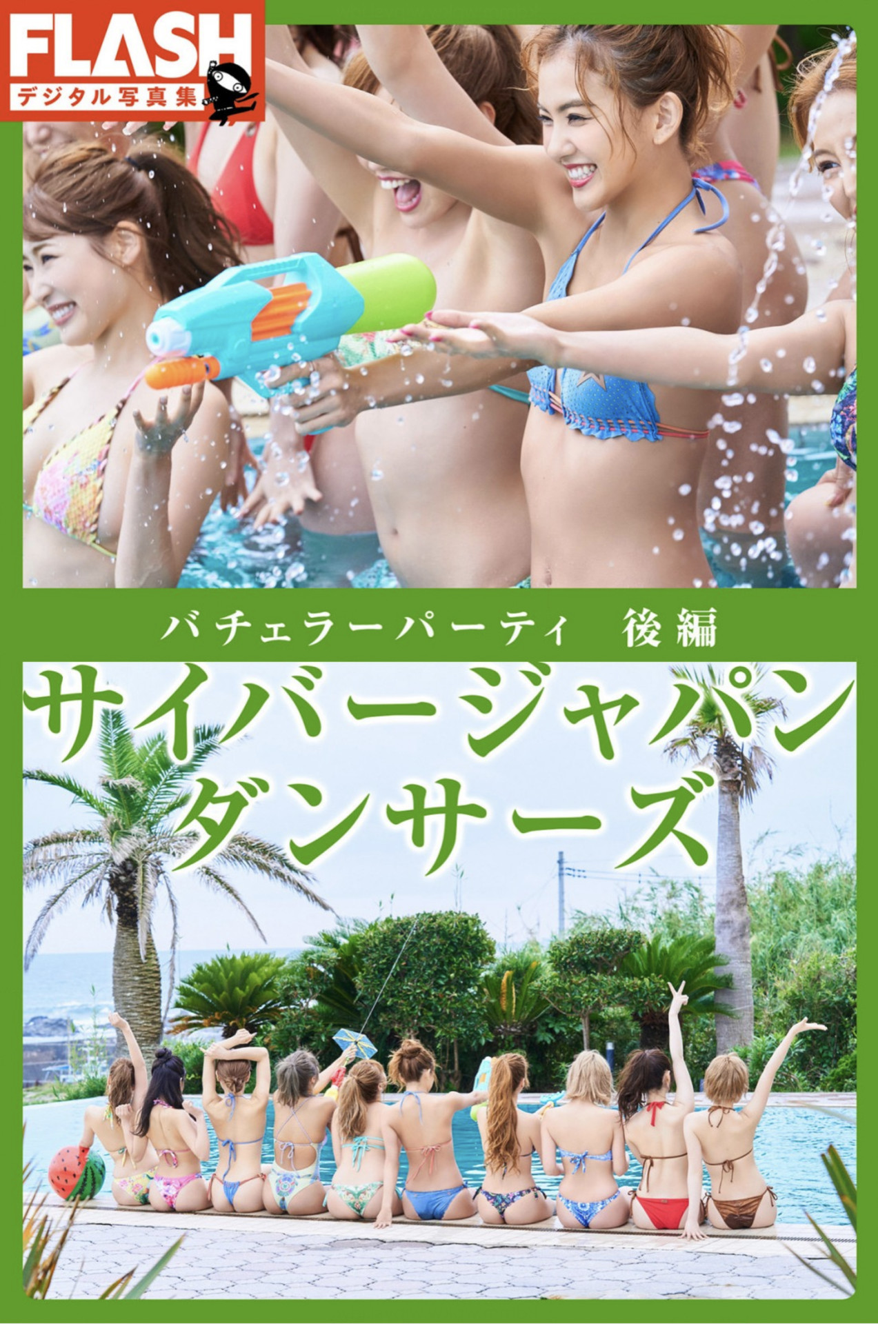 サイバージャパン, FLASH フラッシュ サンプル版 ダンサーズ バチェラーパーティ 后编