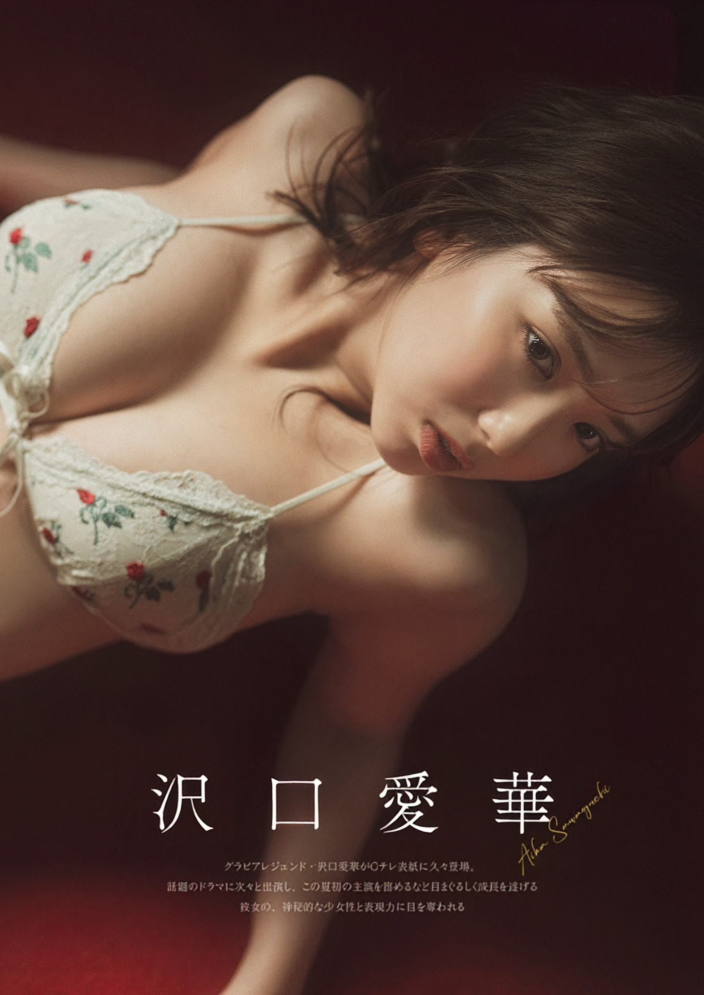 Aika Sawaguchi 沢口愛華, グラビアザテレビジョン Vol.72 (Gravure The Television Vol.72)