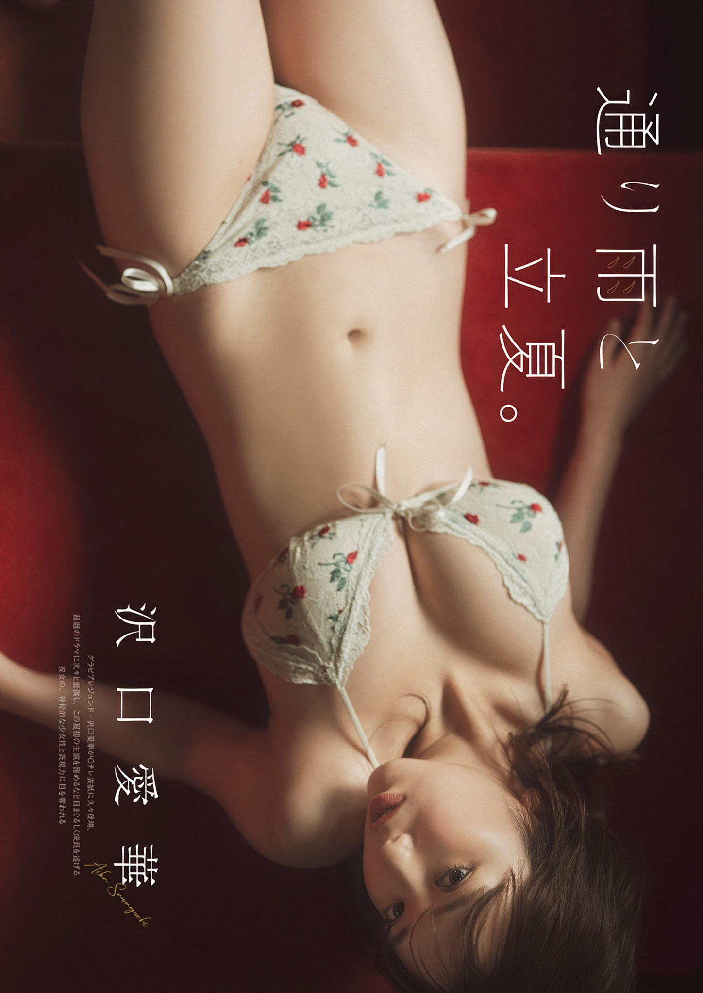 Aika Sawaguchi 沢口愛華, グラビアザテレビジョン Vol.72 (Gravure The Television Vol.72)