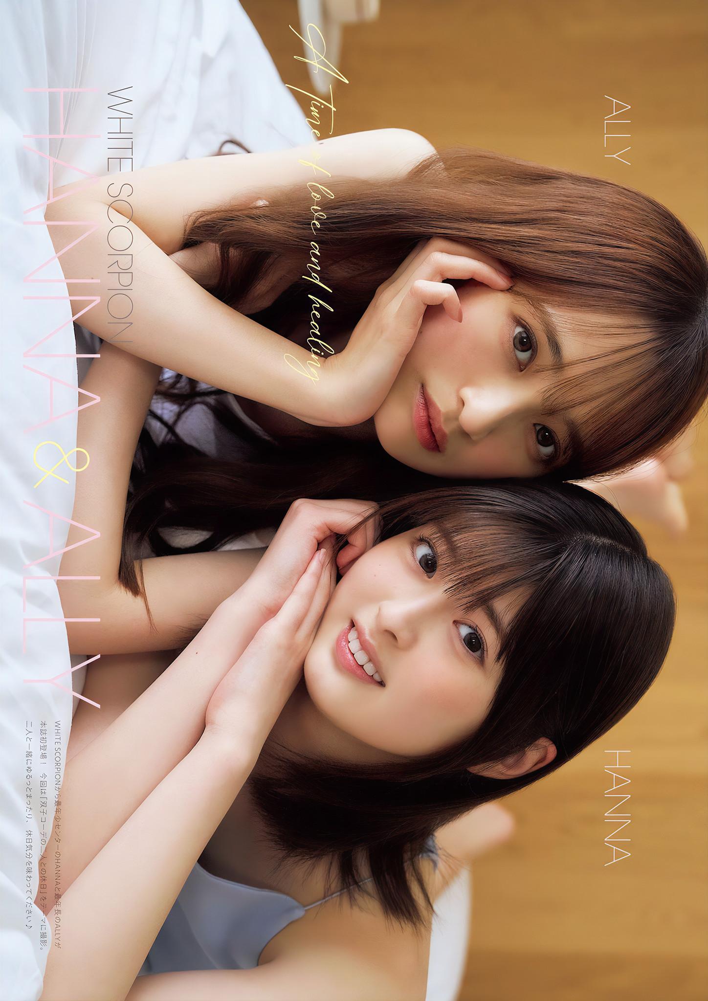 HANNA ＆ ALLY, グラビアザテレビジョン Vol.73 (Gravure The Television Vol.73)