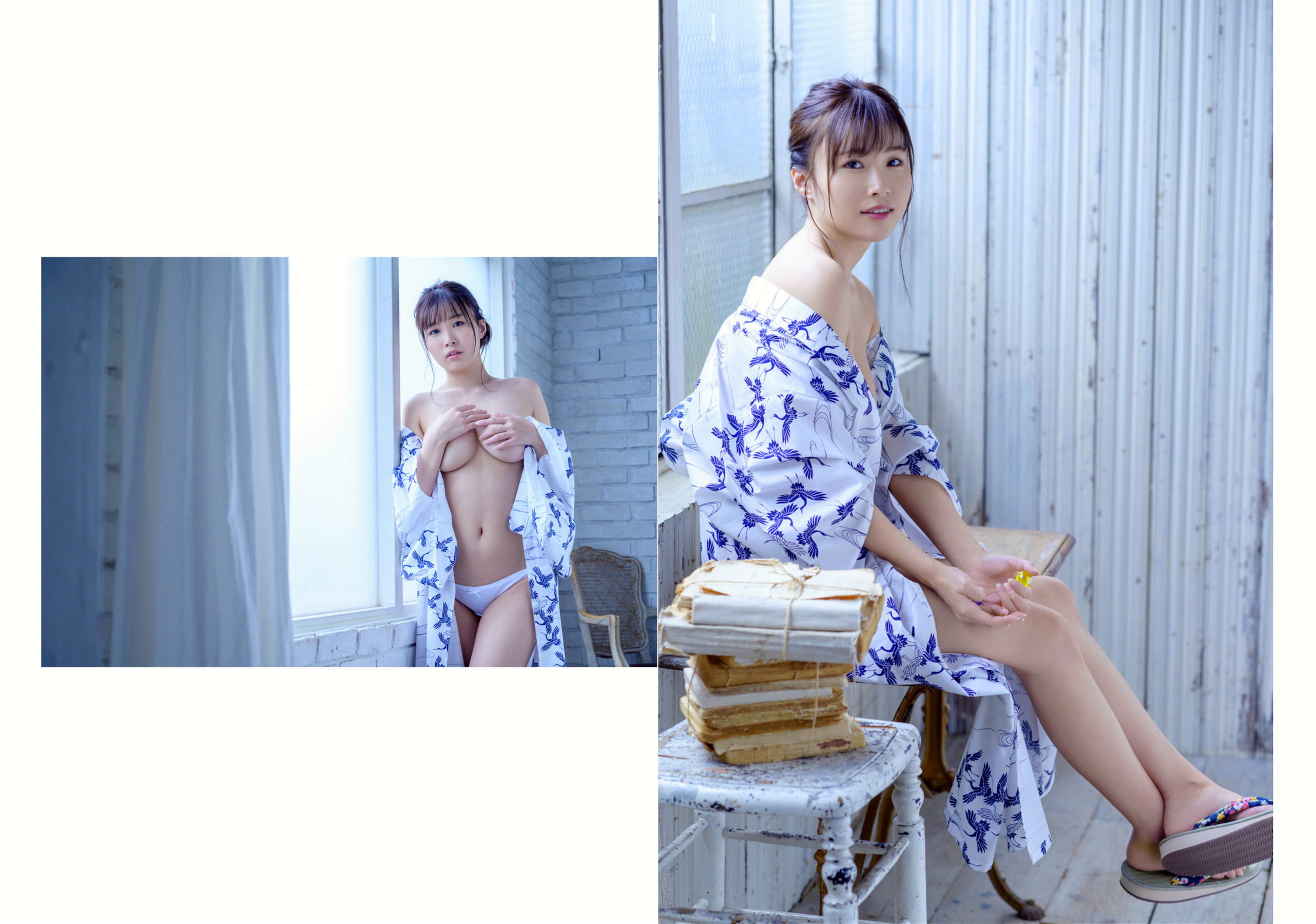 THE 和 - THE JAPANESE STYLE NUDE PHOTO BOOK ヌードBEST