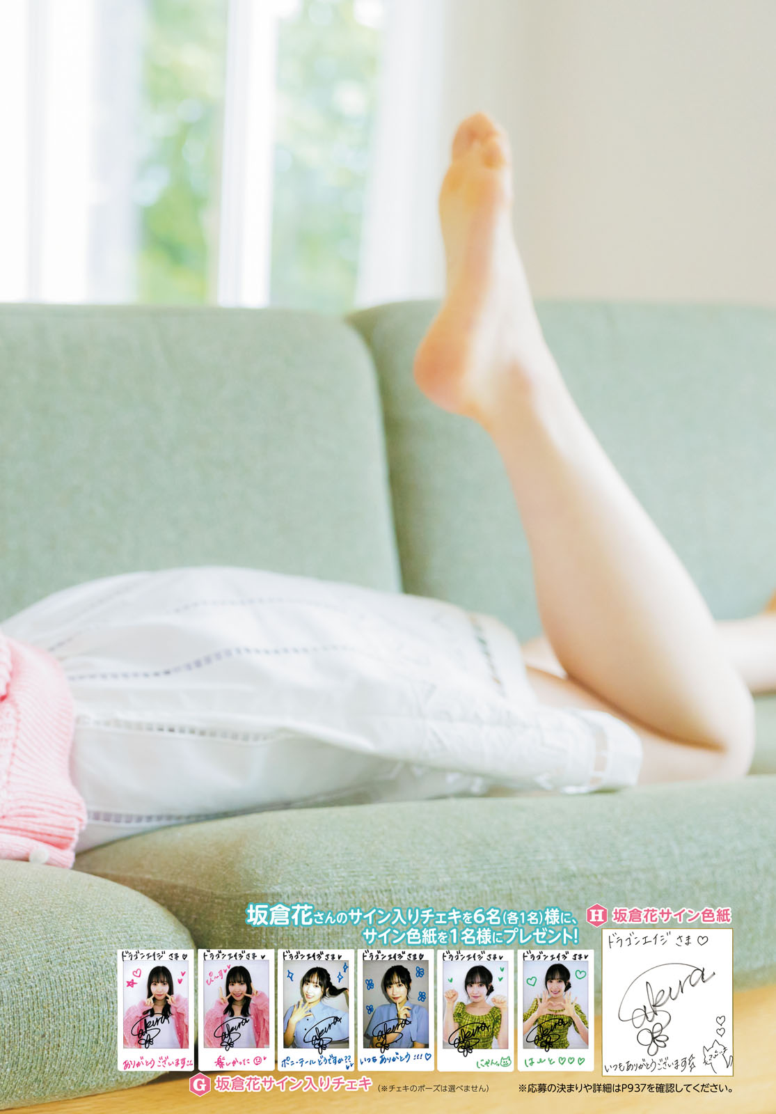 Sakura Sakakura 坂仓花, Young Dragon Age ヤングドラゴンエイジ 2024年11月号