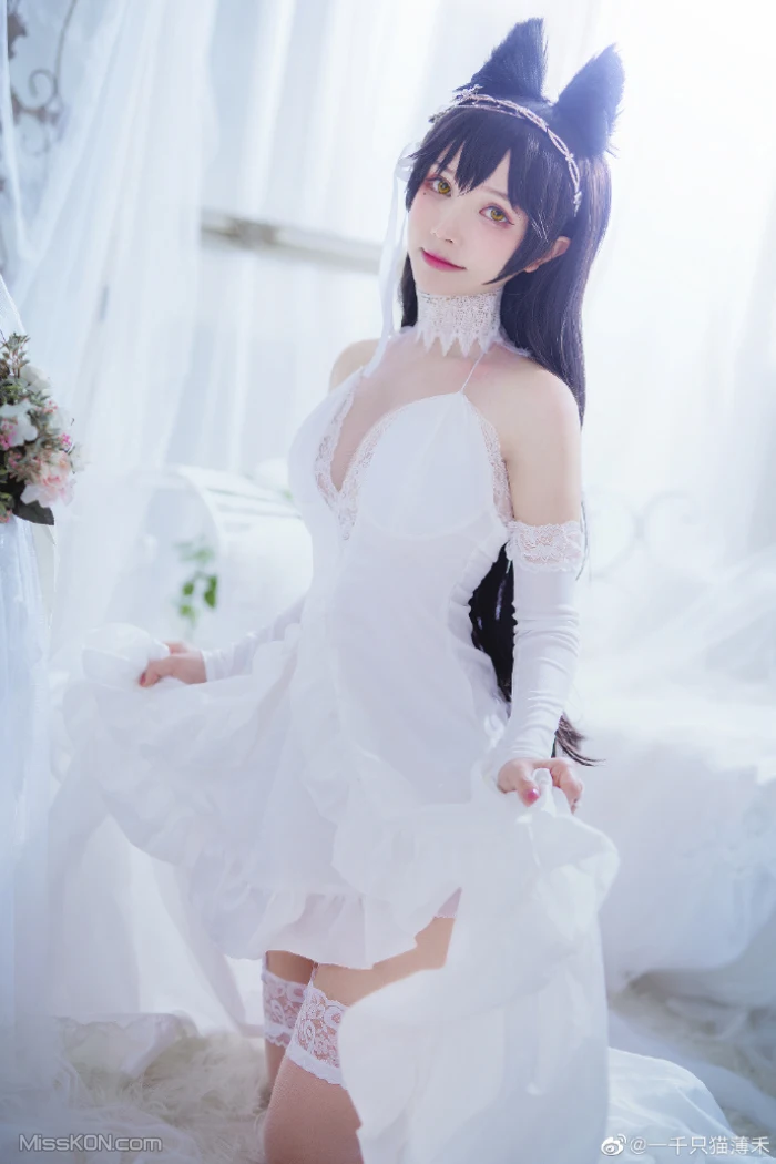 Coser@一千只猫薄禾_ 微博杂图